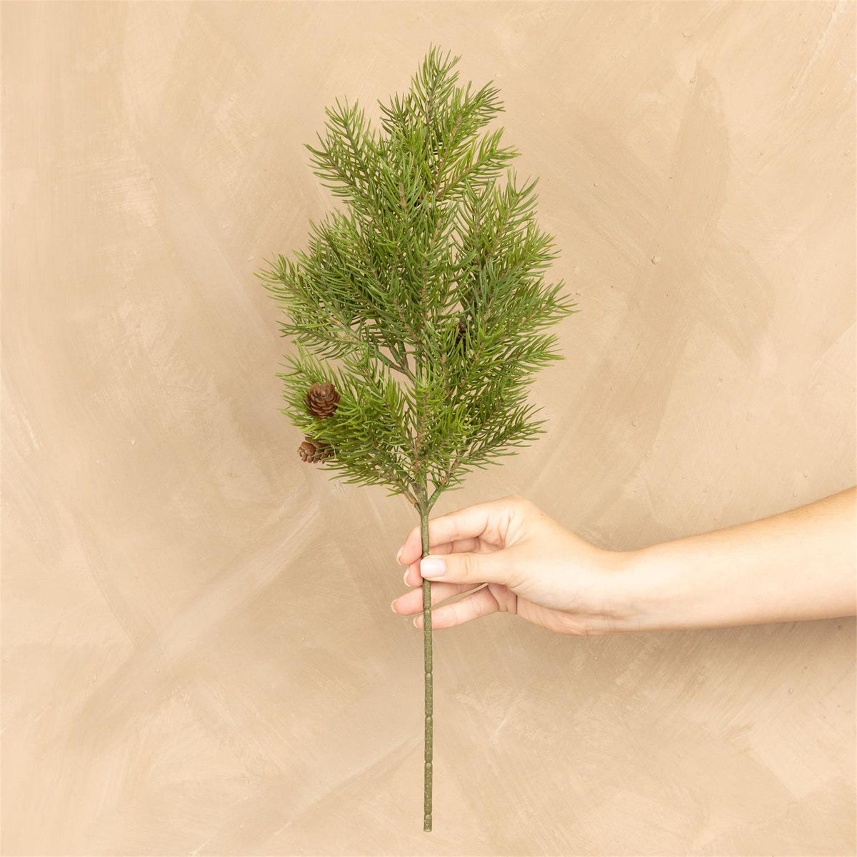 Stem - Hemlock With Pinecones