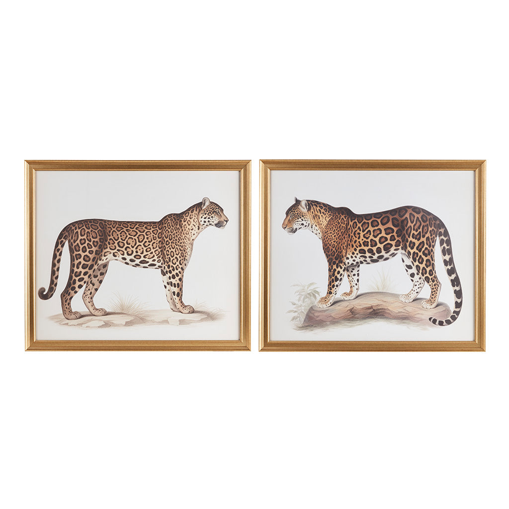 The Duel 2-Piece Framed Graphics Wall Art Set