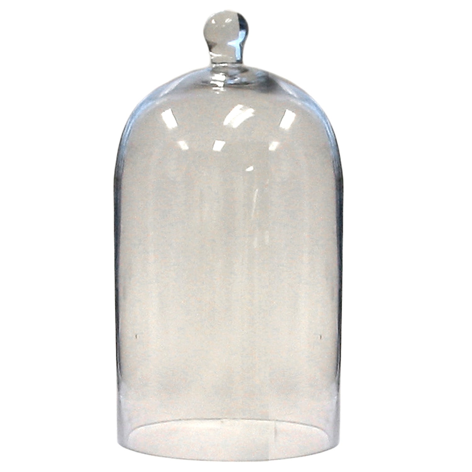 Glass Dome - Med - Clear