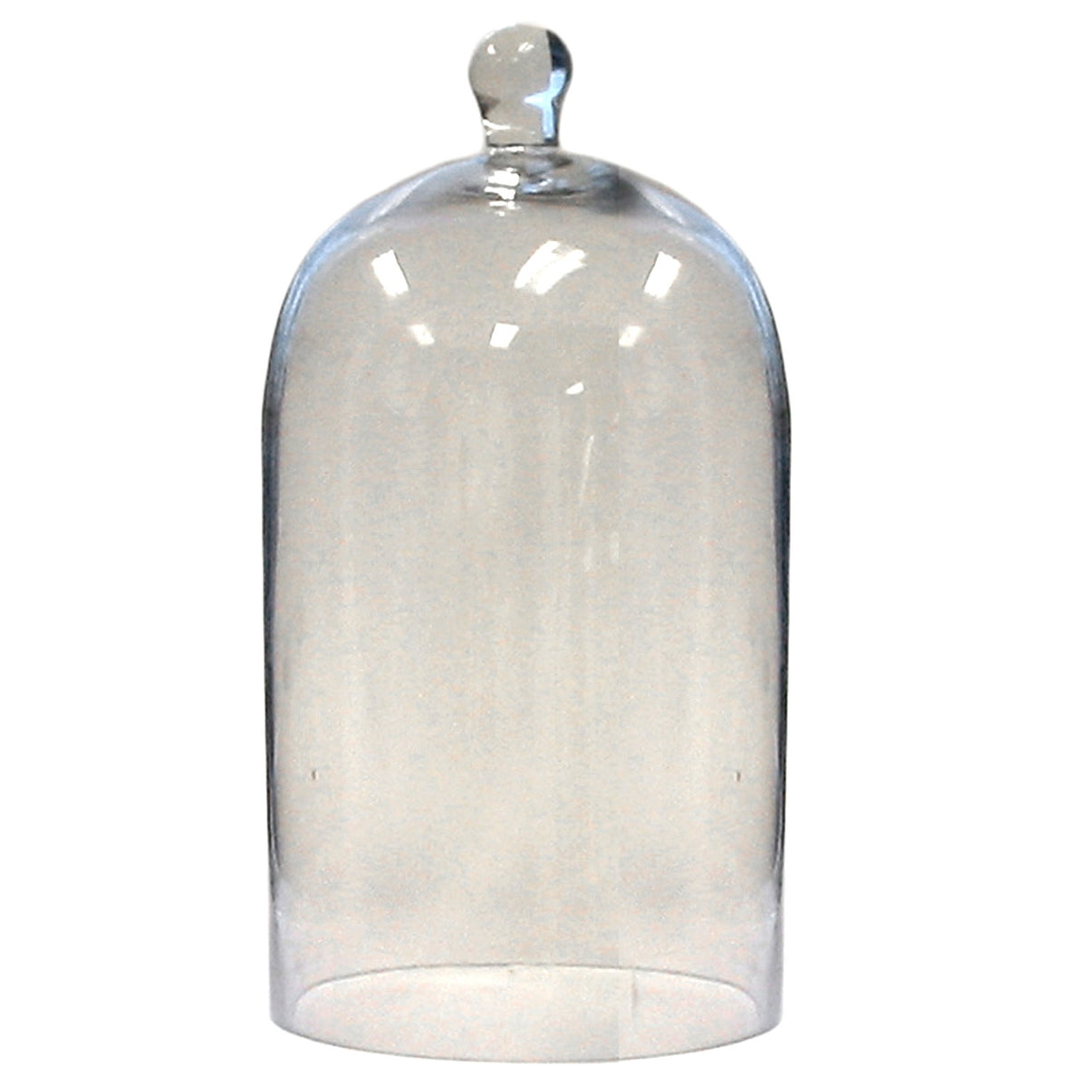 Glass Dome - Med - Clear