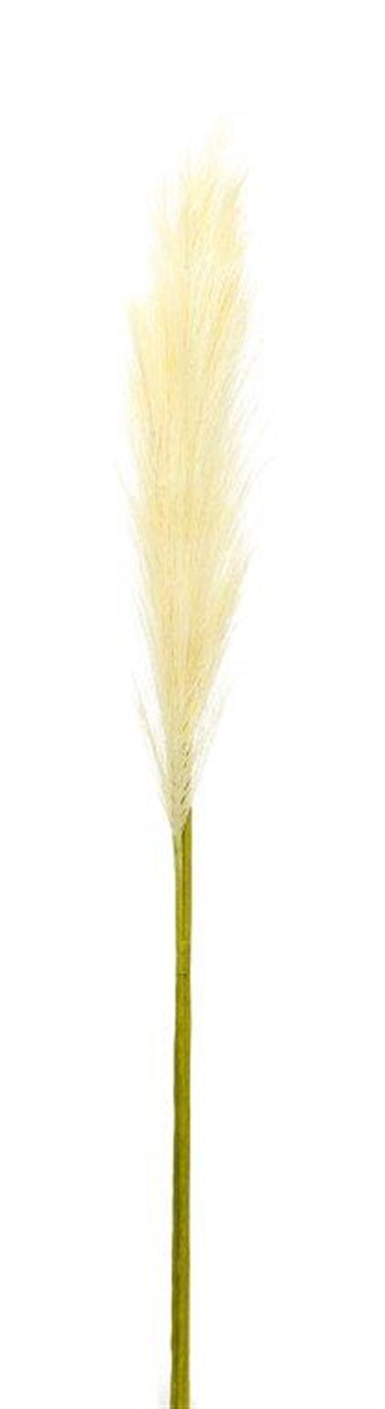 Pampas Spray 30"H Polyester