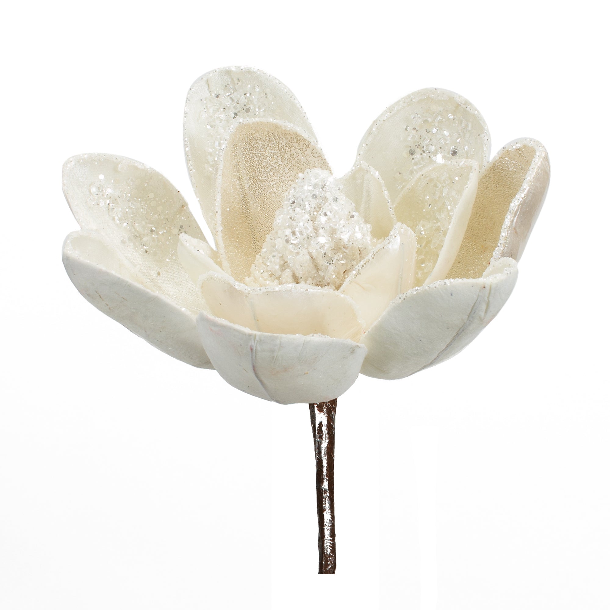 Magnolia Stem 20”H Velvet