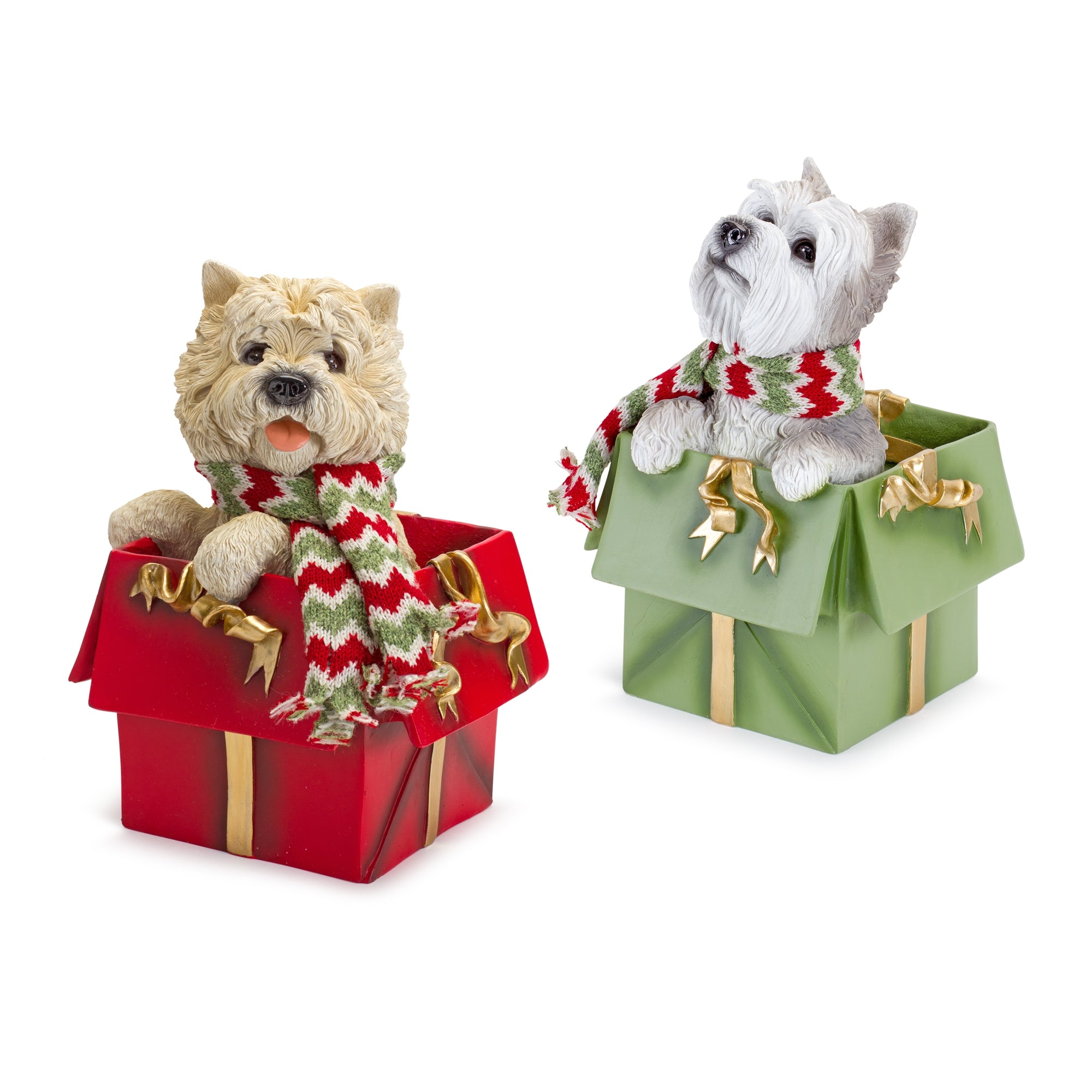Dog in Package (2 Asst) 11"H, 11.5"H Resin