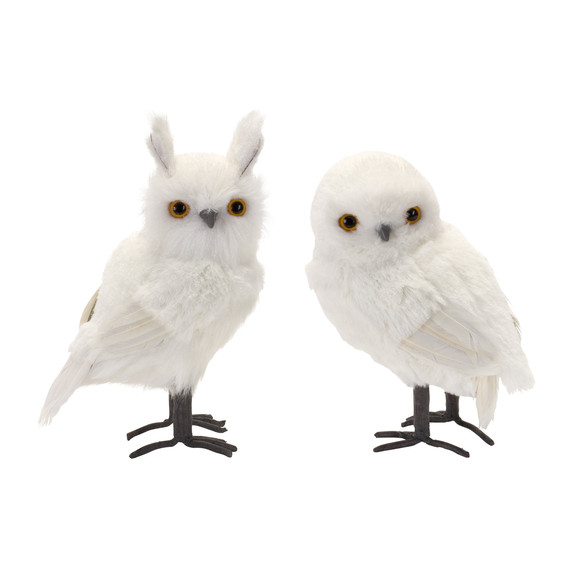White Owl (2 Asst) 8.75"H, 10.5"H Foam