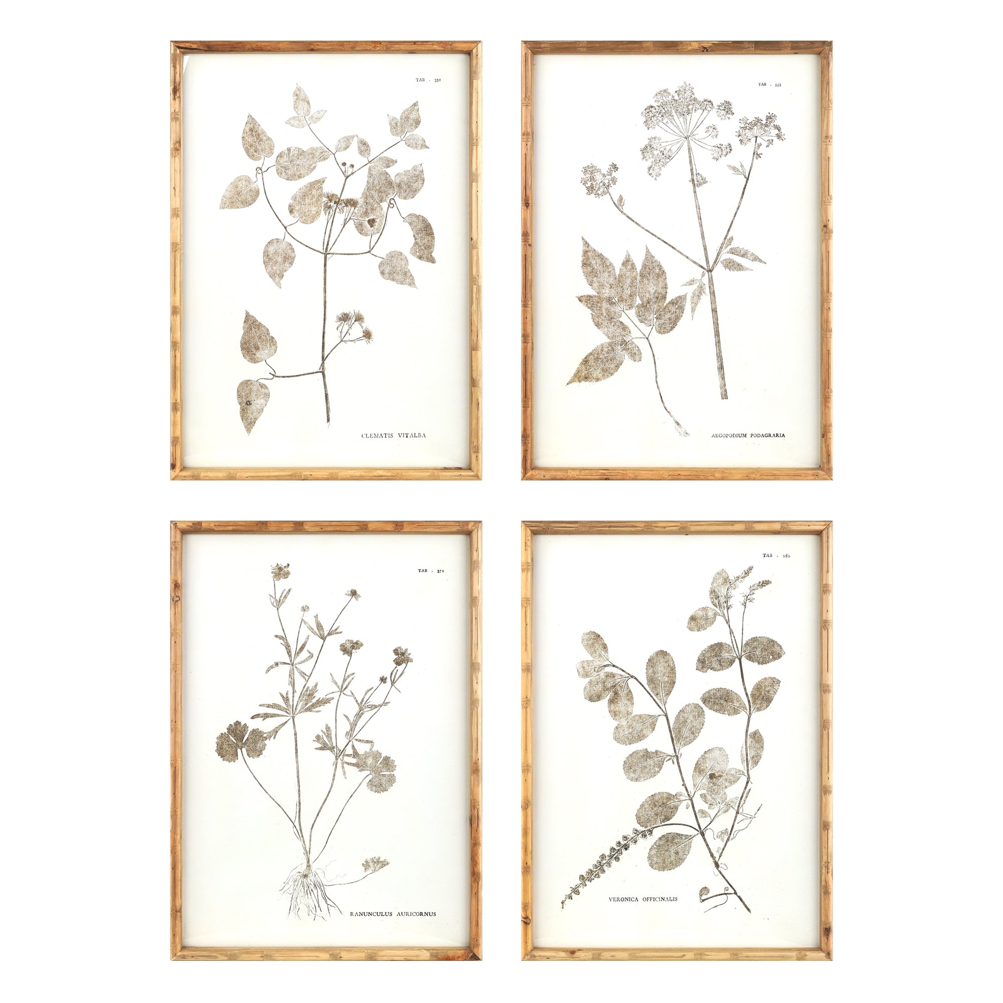 Floral Print (4 Asst) 19.5"L x 27"H Wood/Wood/Paper/Glass