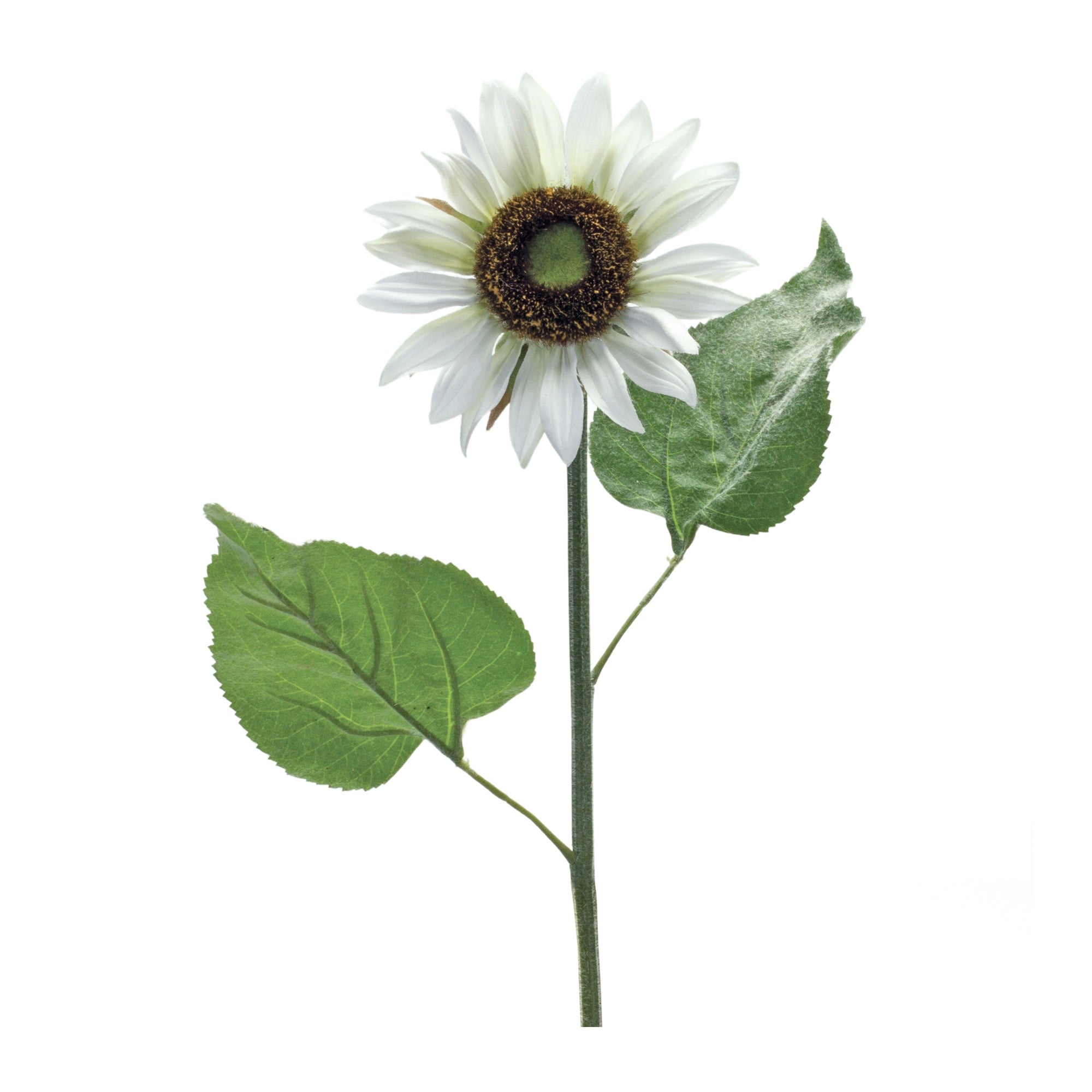 Sunflower Stem 22.75”H Polyester