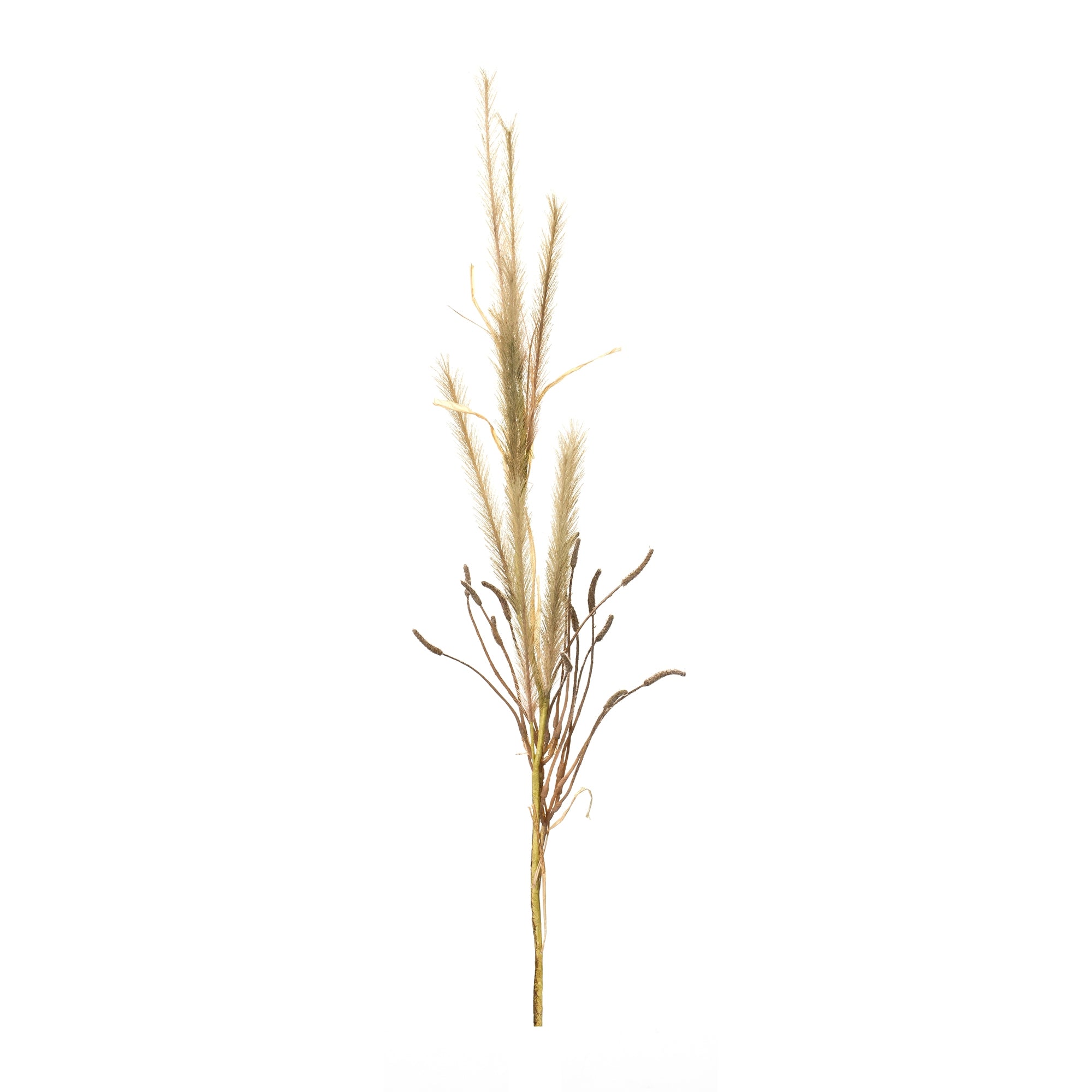 Fox Tail Stem 47”H Polyester
