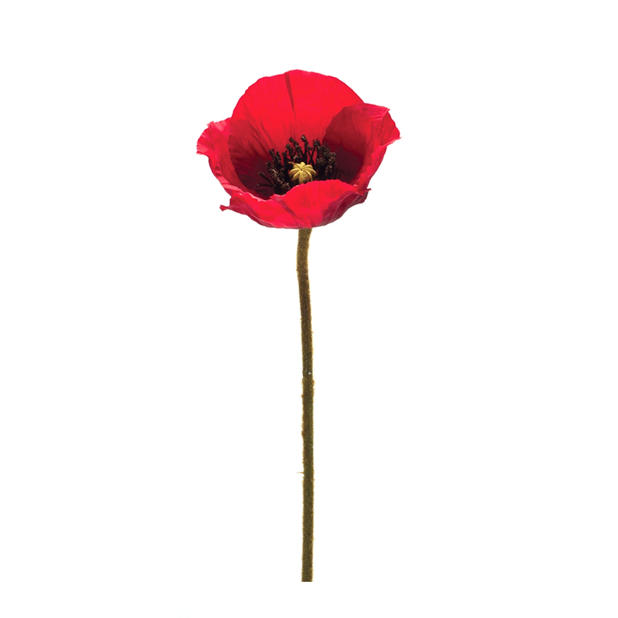 Poppy Spray 26.5”H Polyester