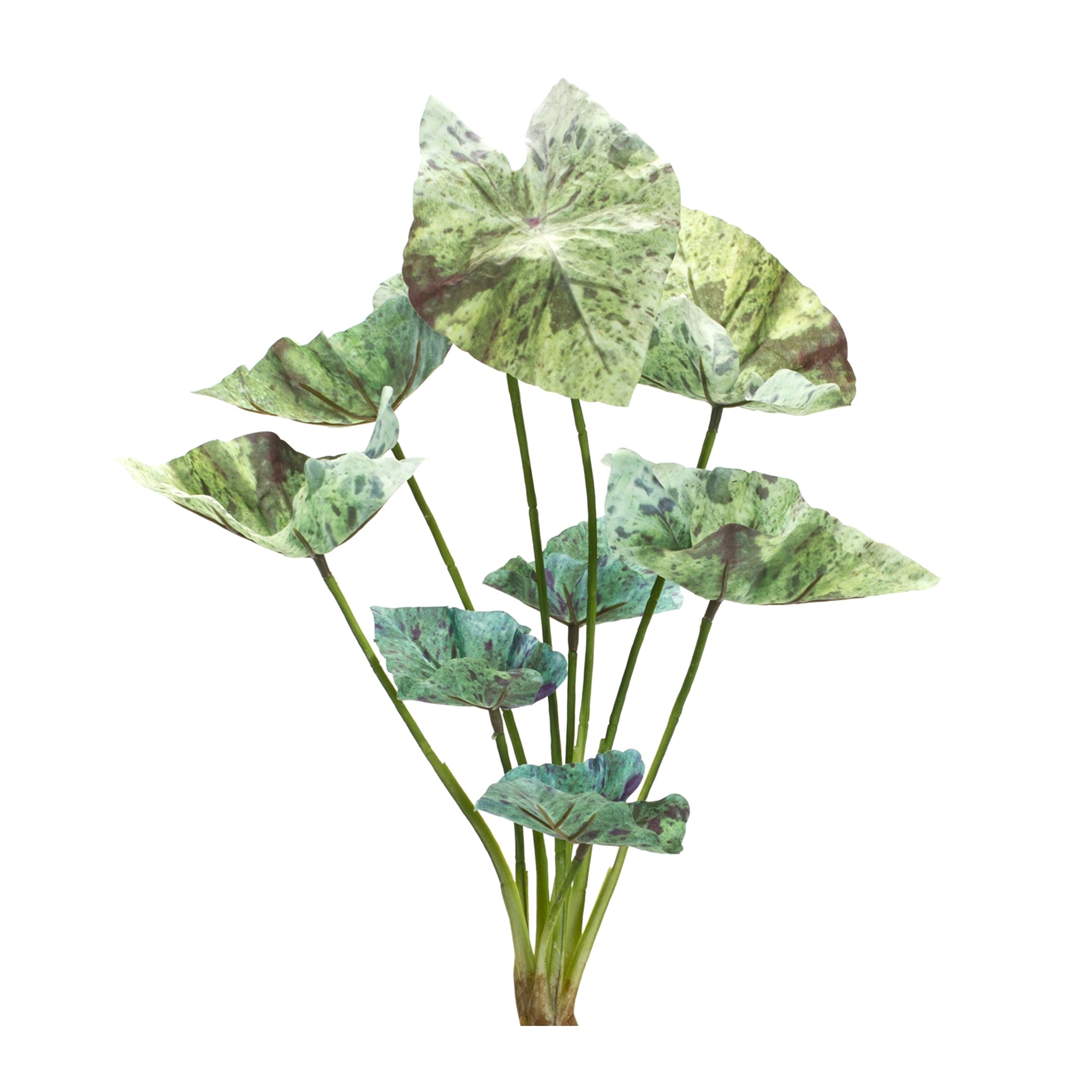 Caladium Bush 18.5”H Polyester