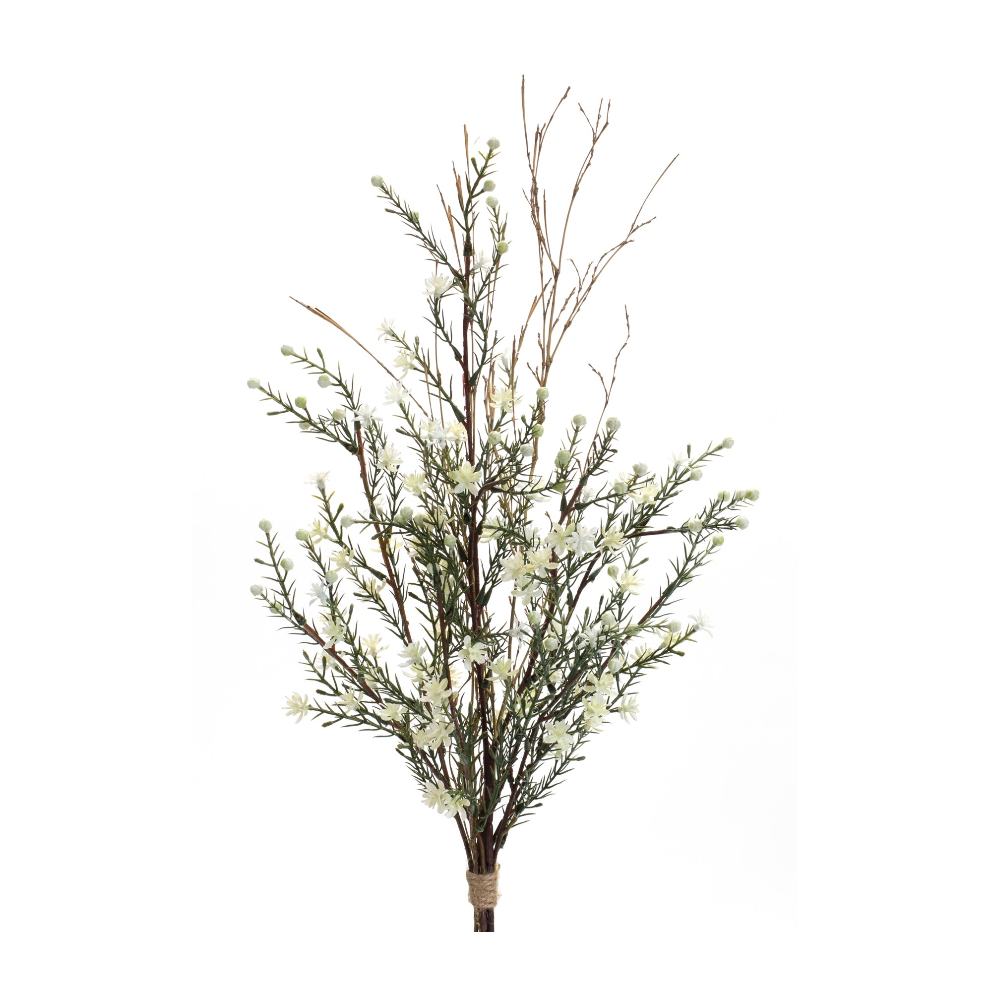 Leptospermum Swag 22”L