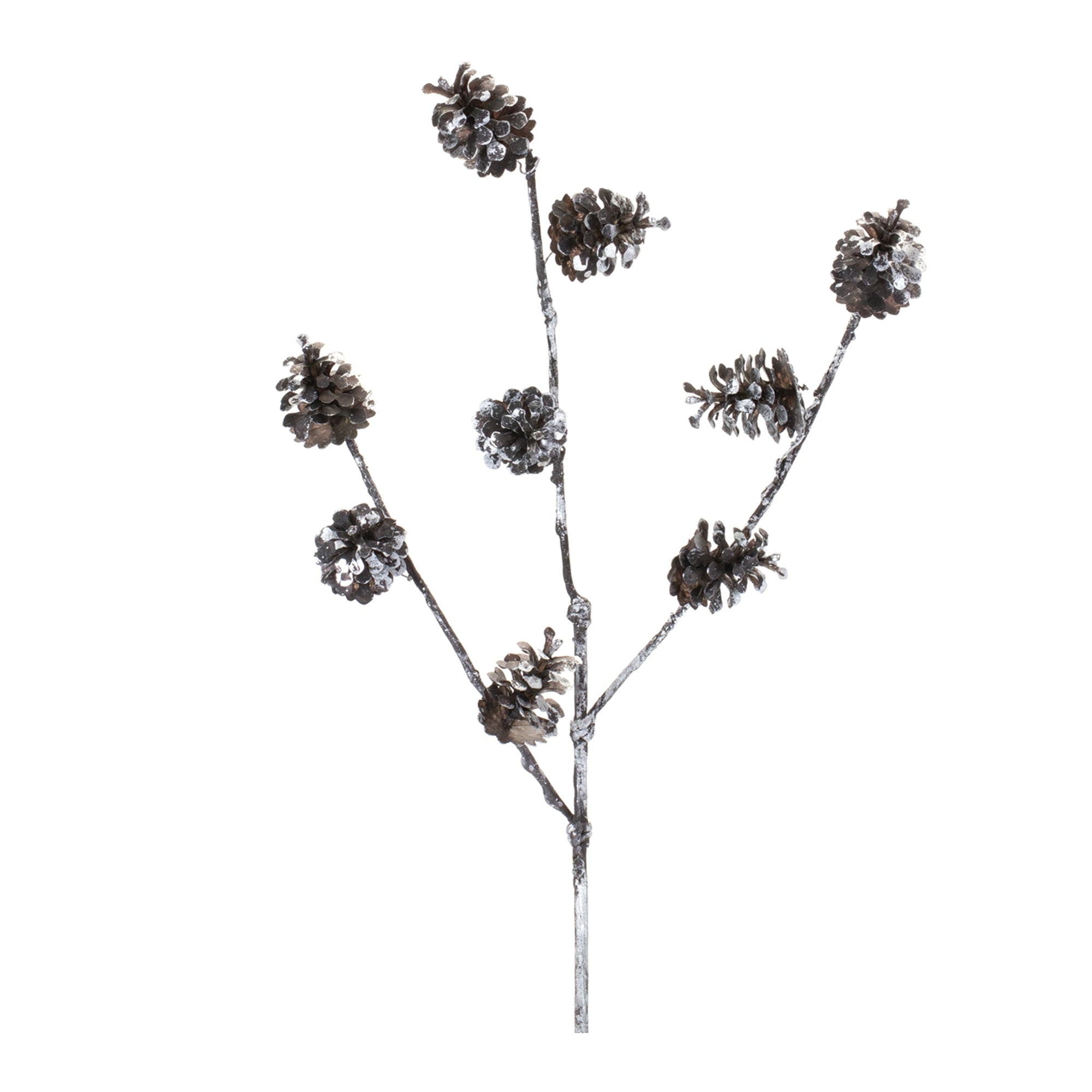 Pine Cone Spray 28”H