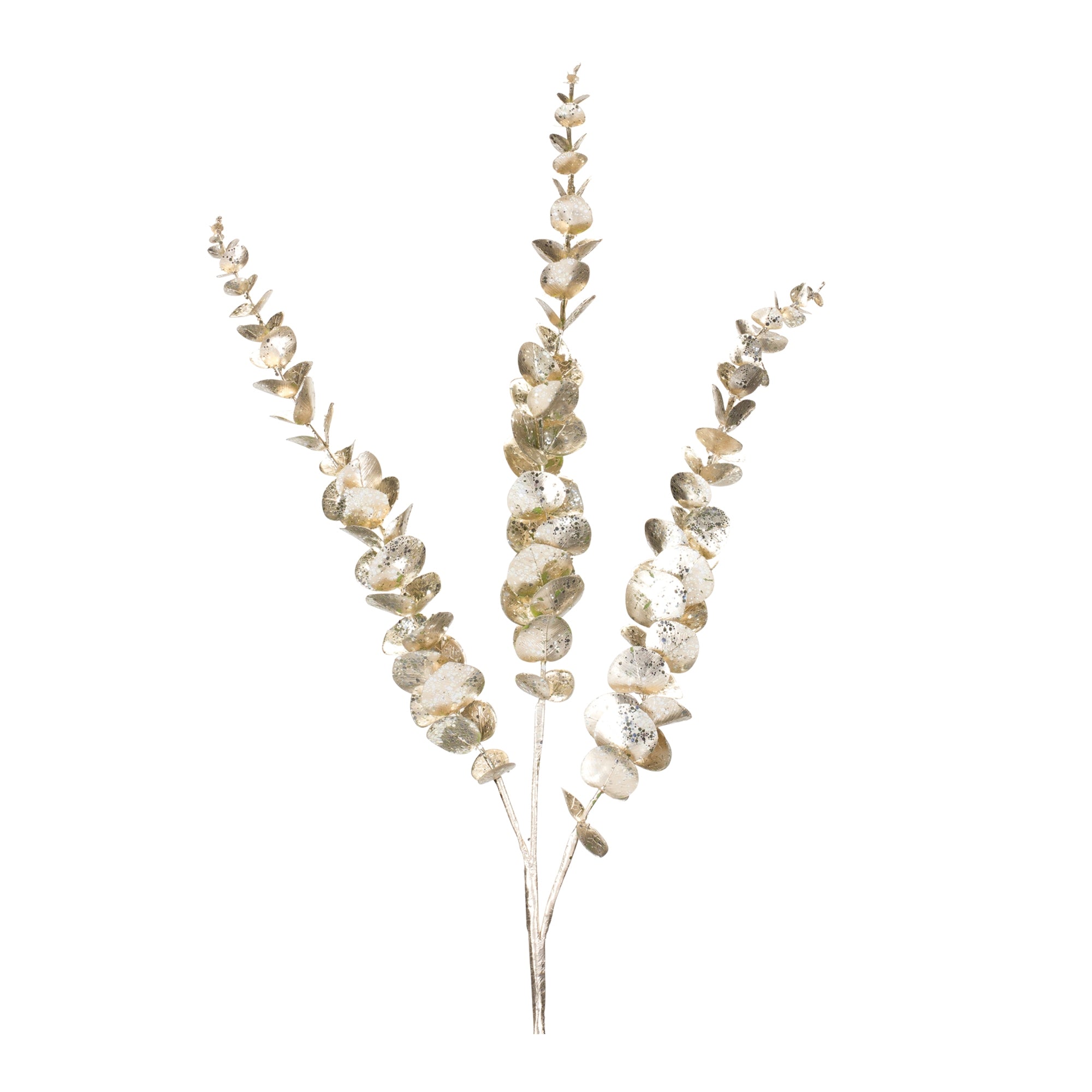 Eucalyptus Spray 36”H