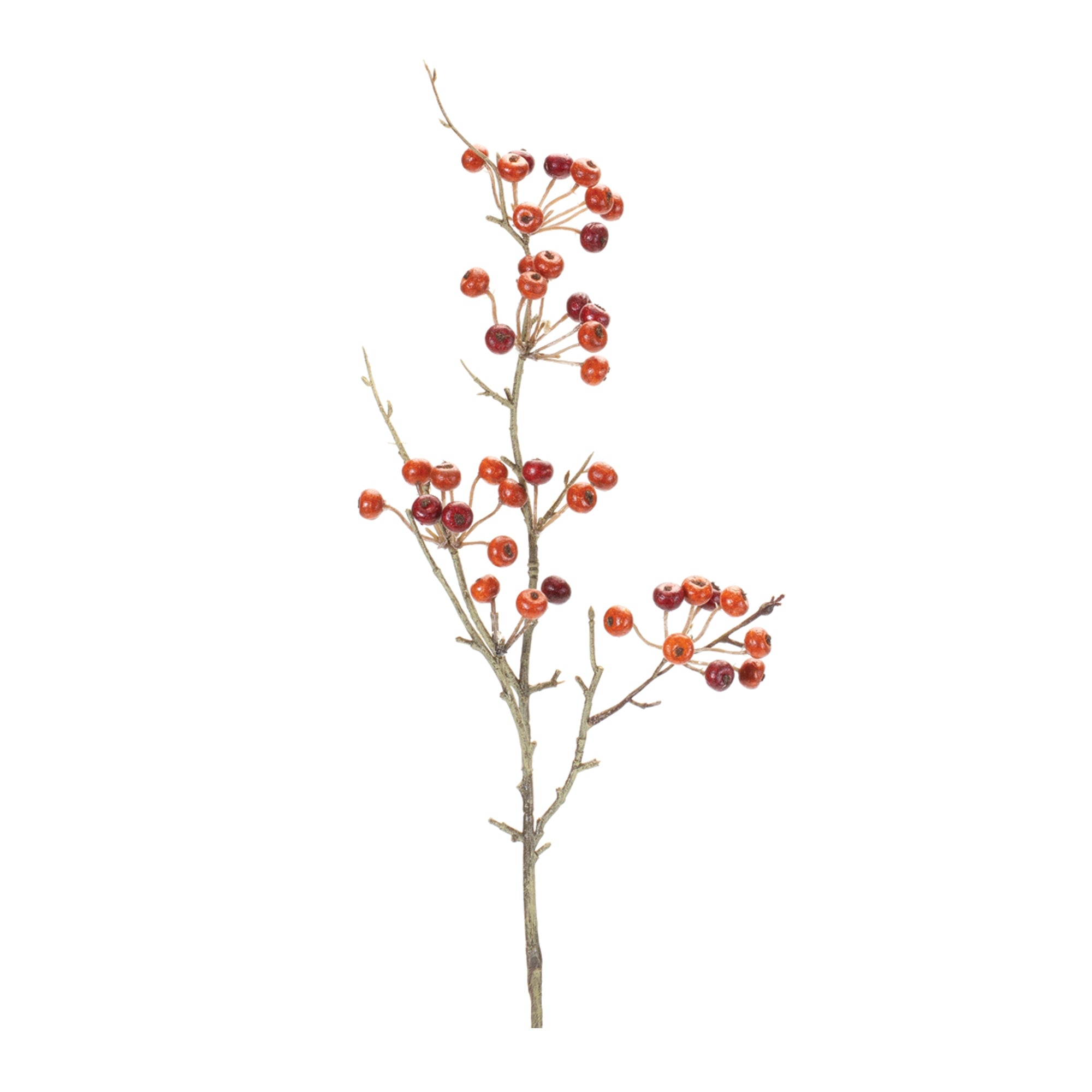 Berry Pod Spray 26”H Foam/