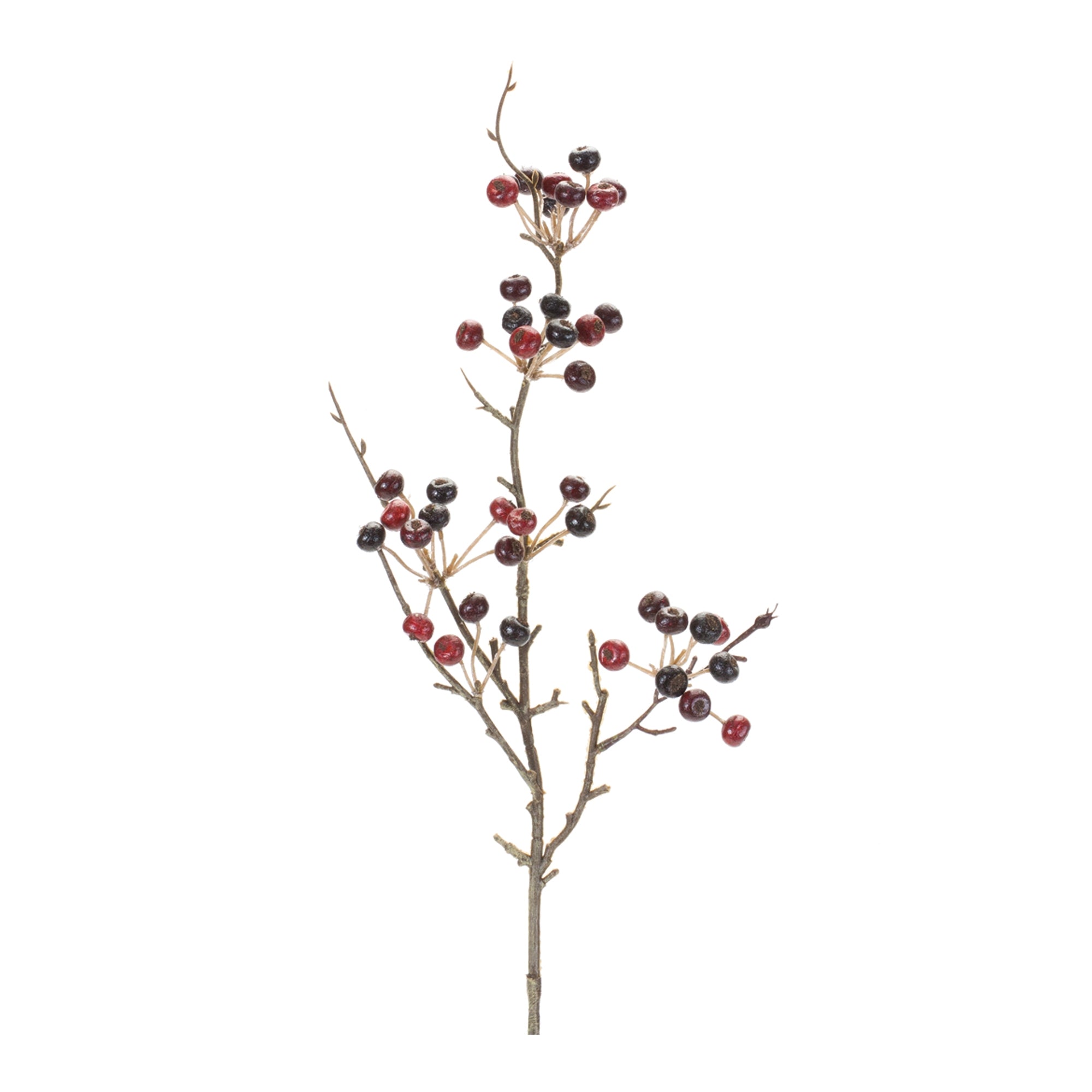 Berry Pod Spray 26”H Foam/
