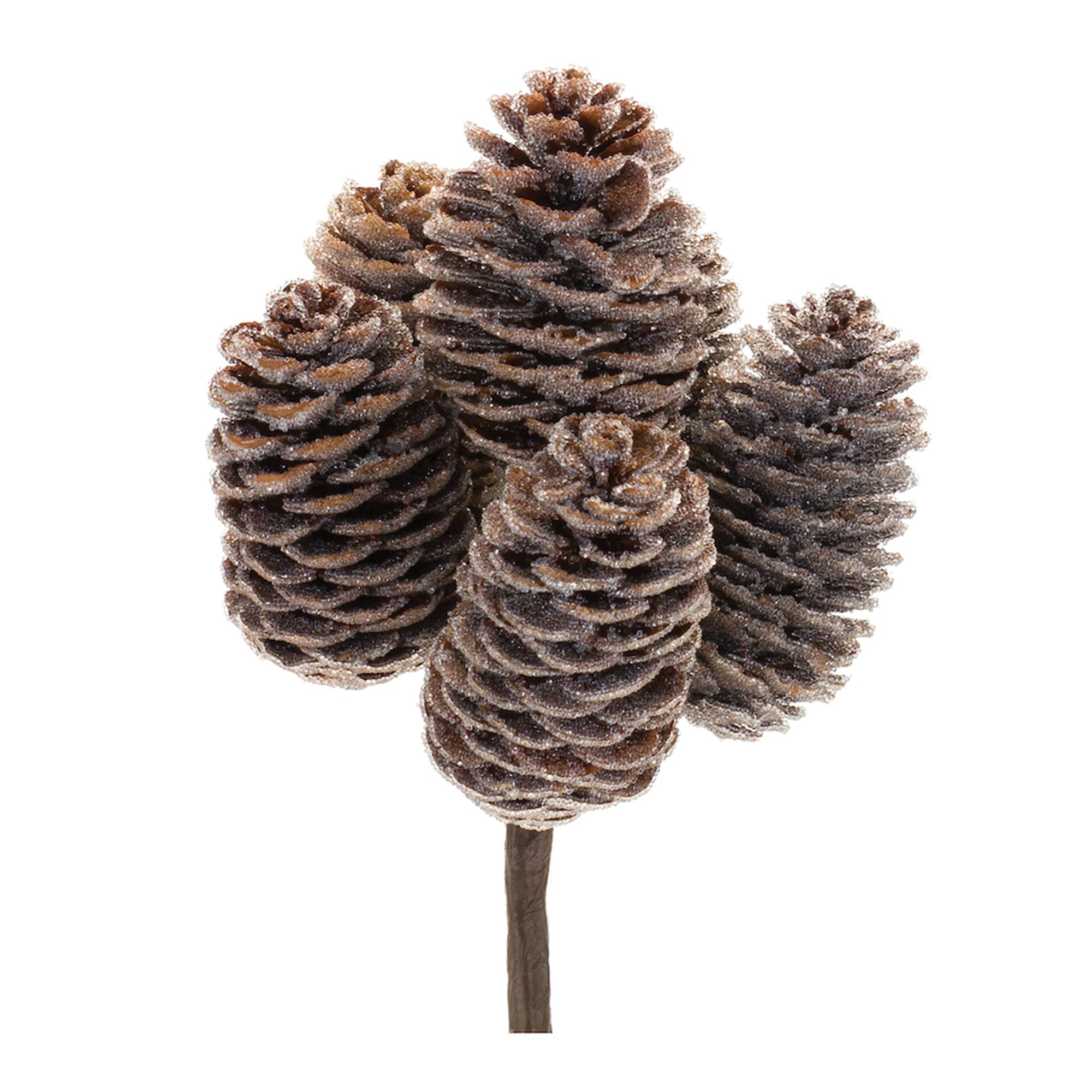 Pine Cone Bundle 9”H Cone