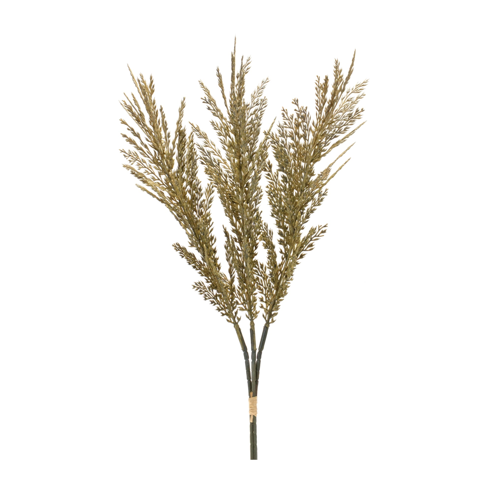 Plume Bundle 26”H