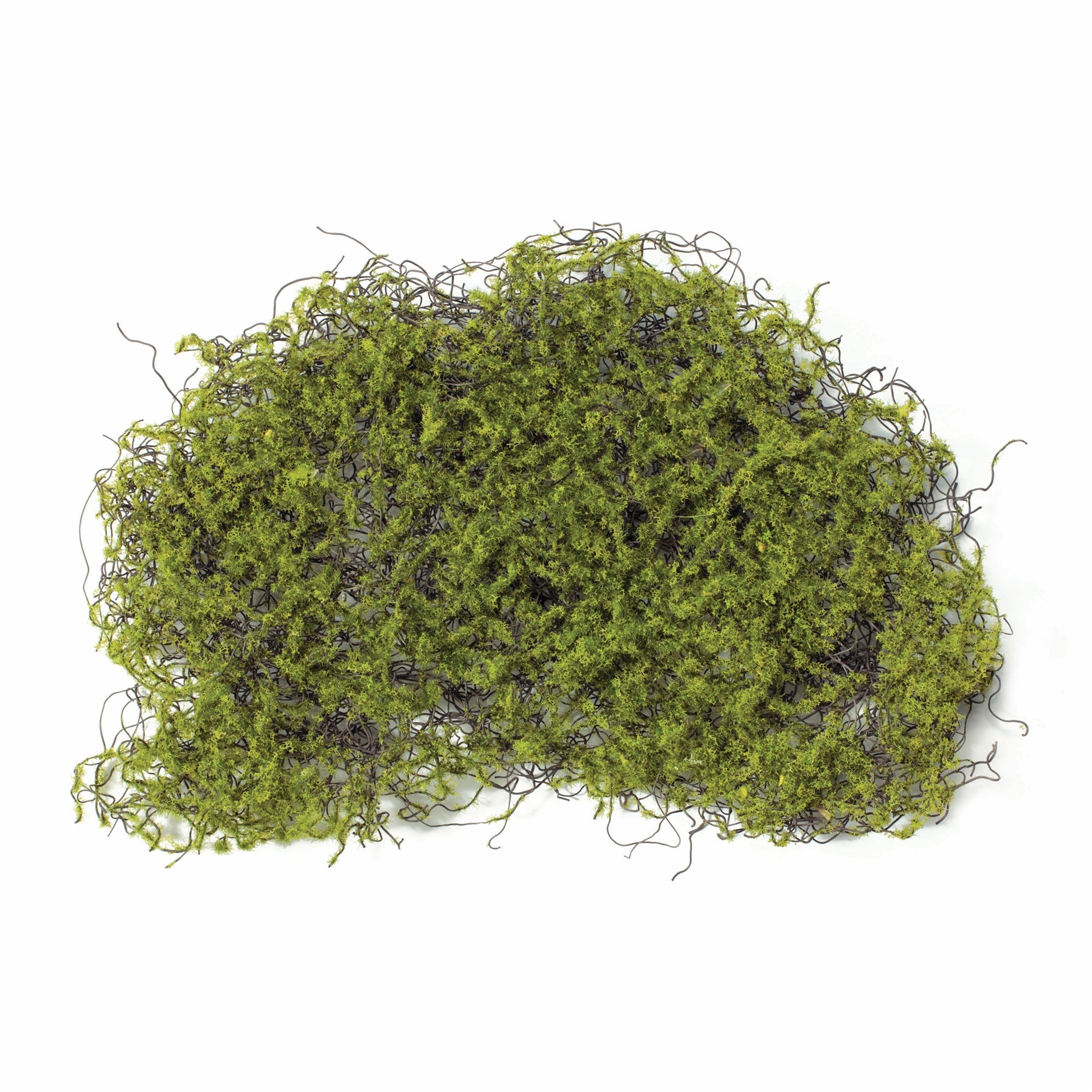 Moss Pad 11.5”D
