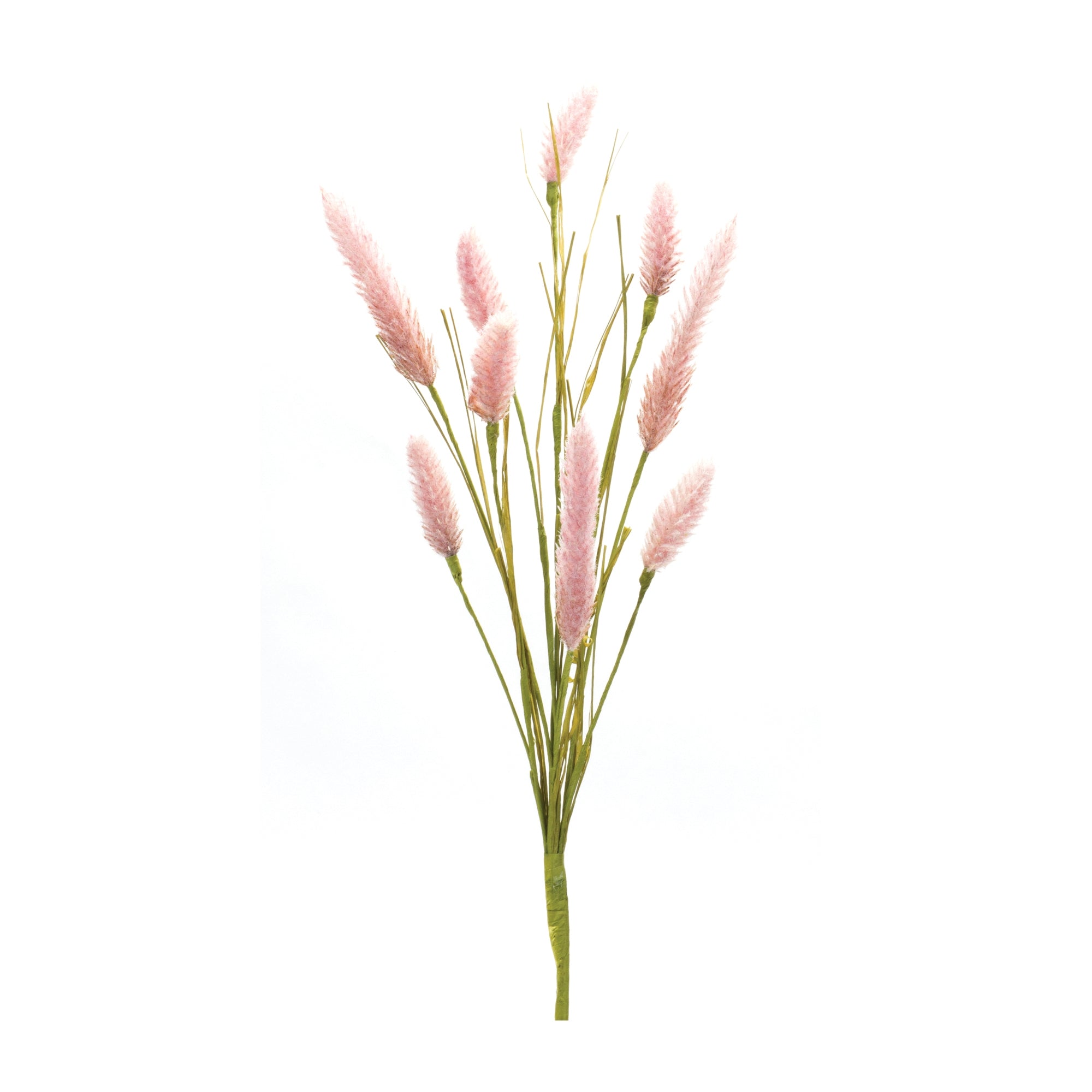 Foxtail Spray 21.25”H