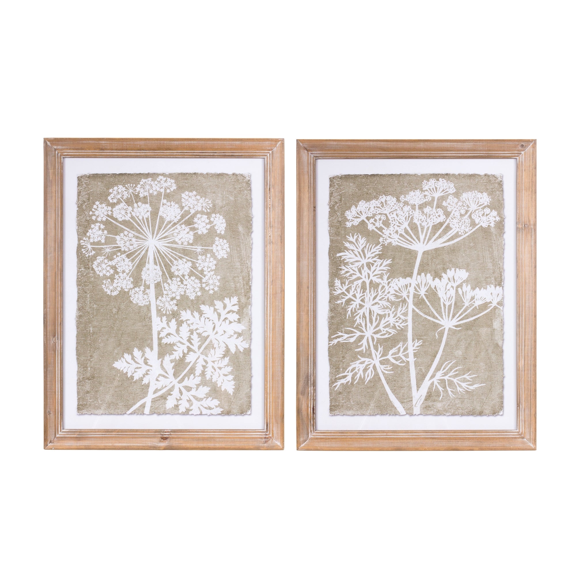 Floral Frame (2 Asst) 21.75"L x 27.5"H Wood/Wood/Paper/Glass