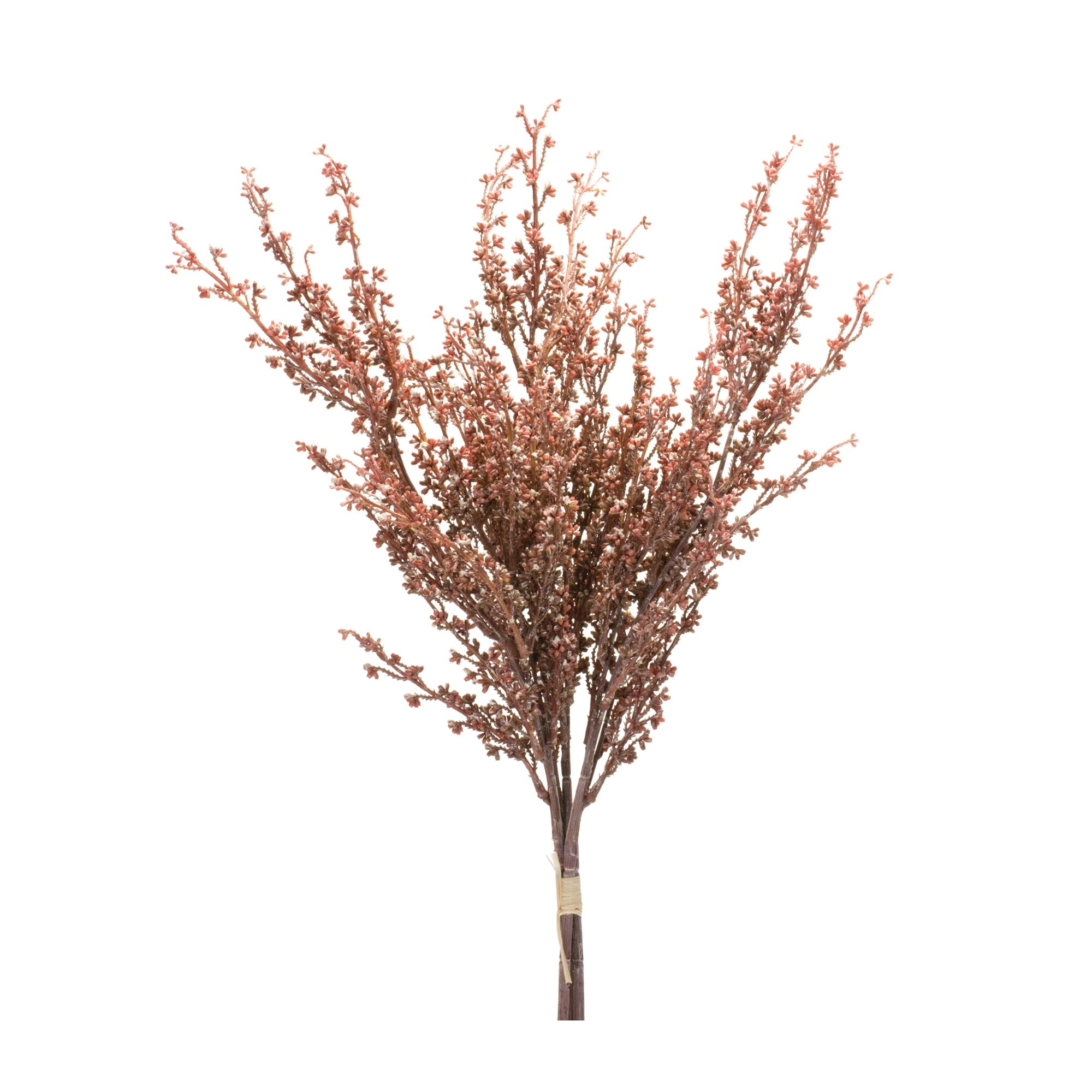 Mini Seed Pod Bundle 24”H