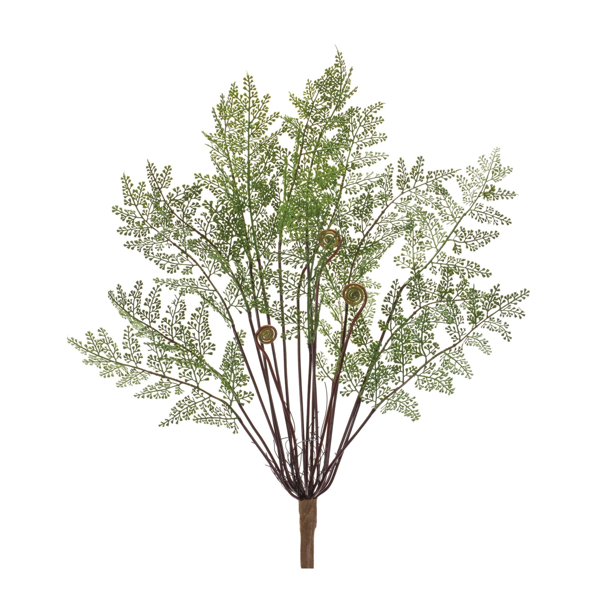 Fern Bush 20”H