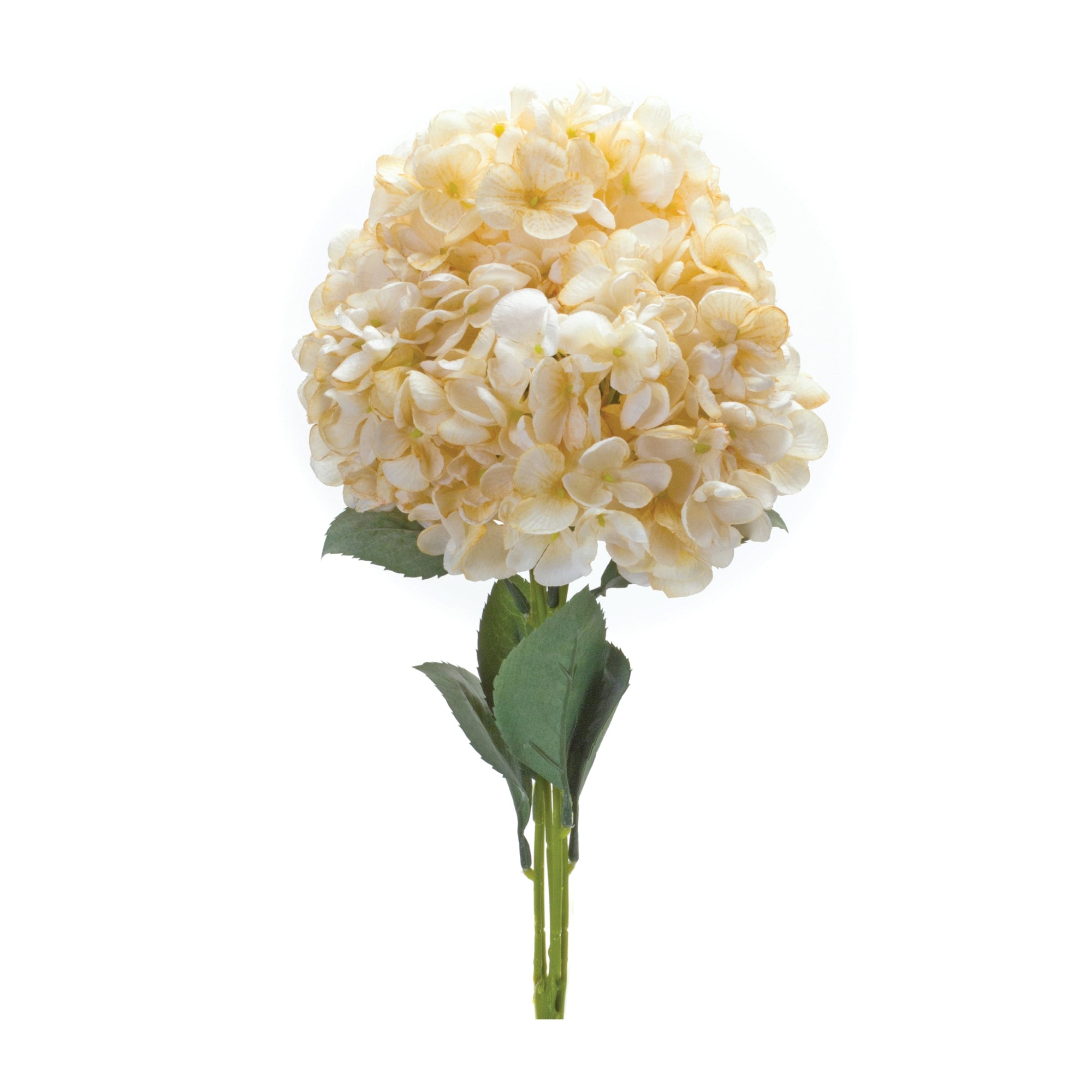 Hydrangea Bush 19”H Polyester