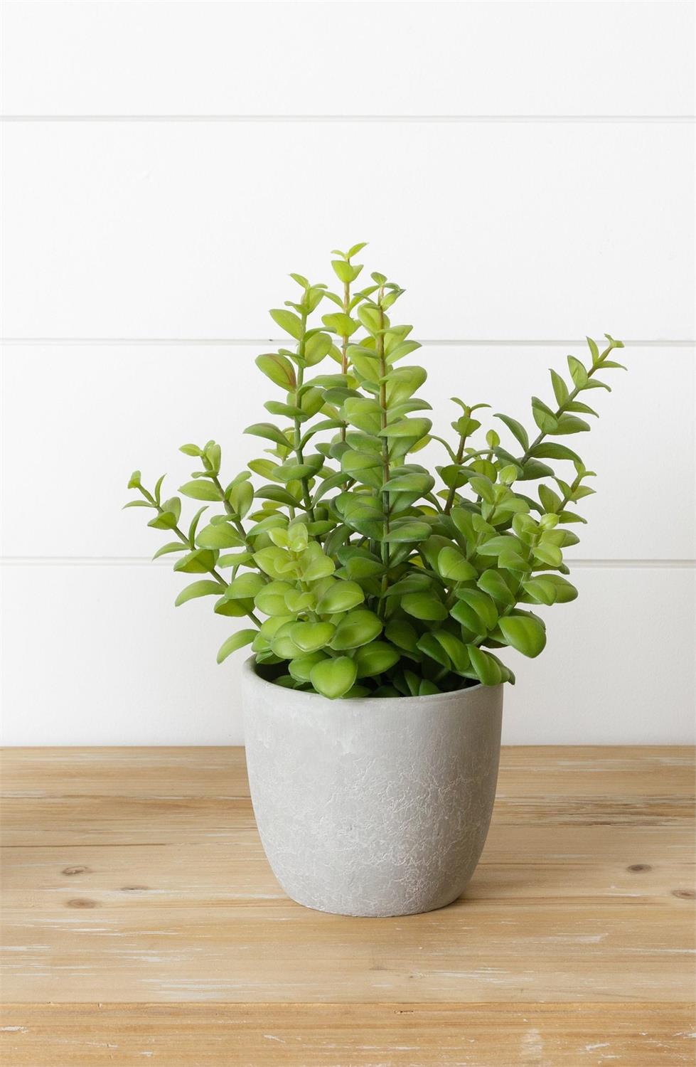 Faux Potted Succulent