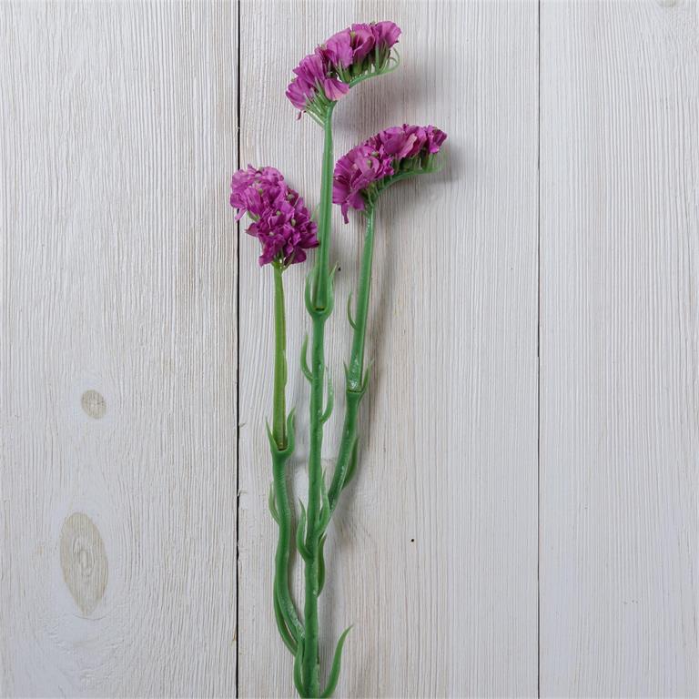 Purple Statice Stem
