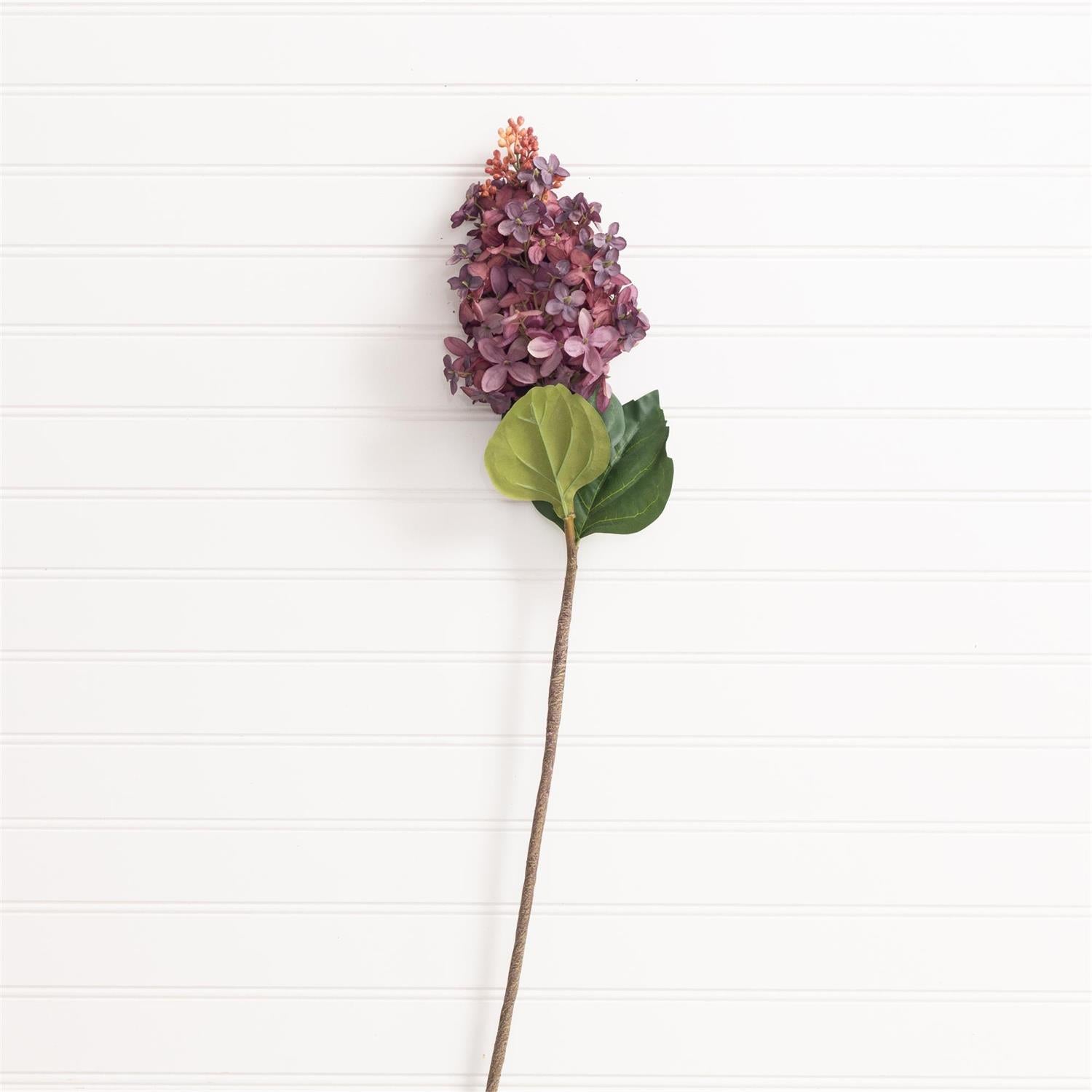 Pick - Hydrangea Purple