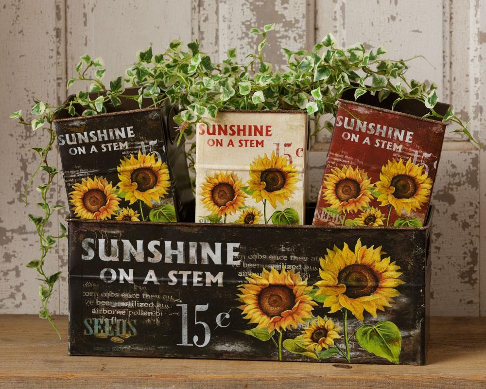 Sunshine On A Stem - Box Set