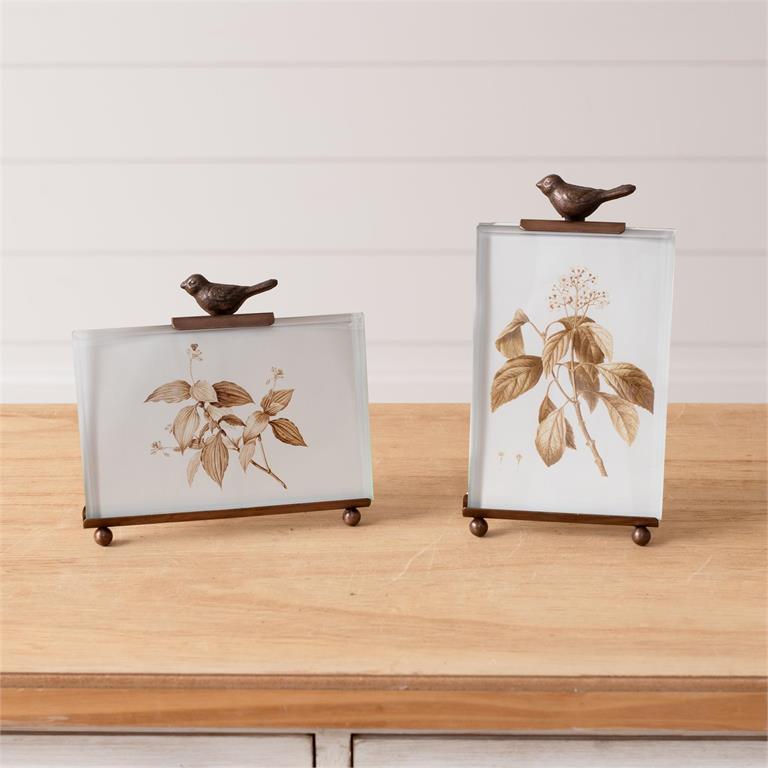 Botanical Glass Bird Frame - Vertical And Horizontal 4X6