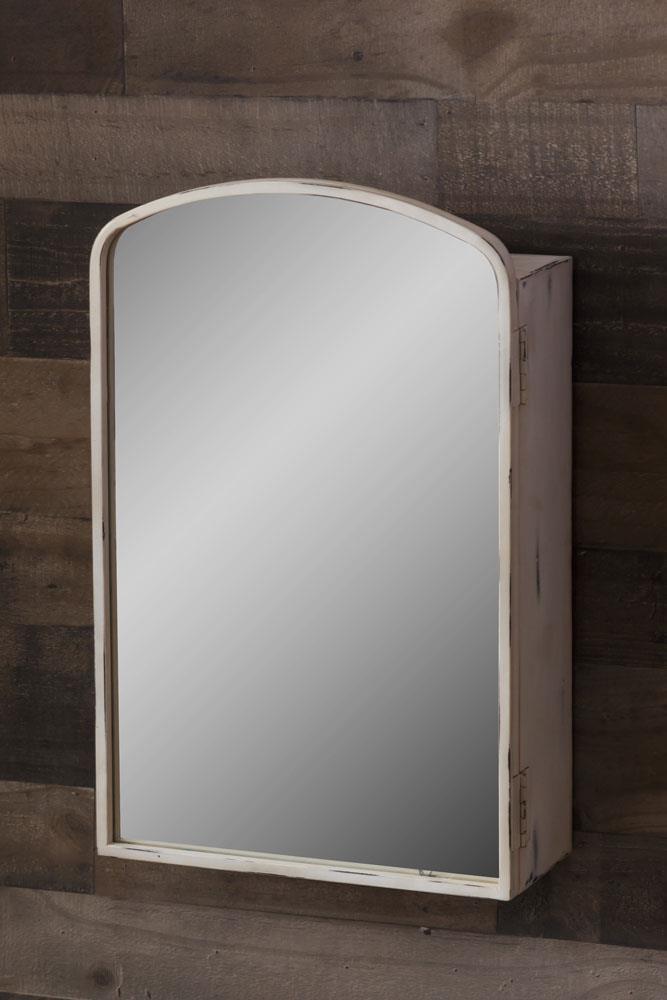 Mirrored Storage Case