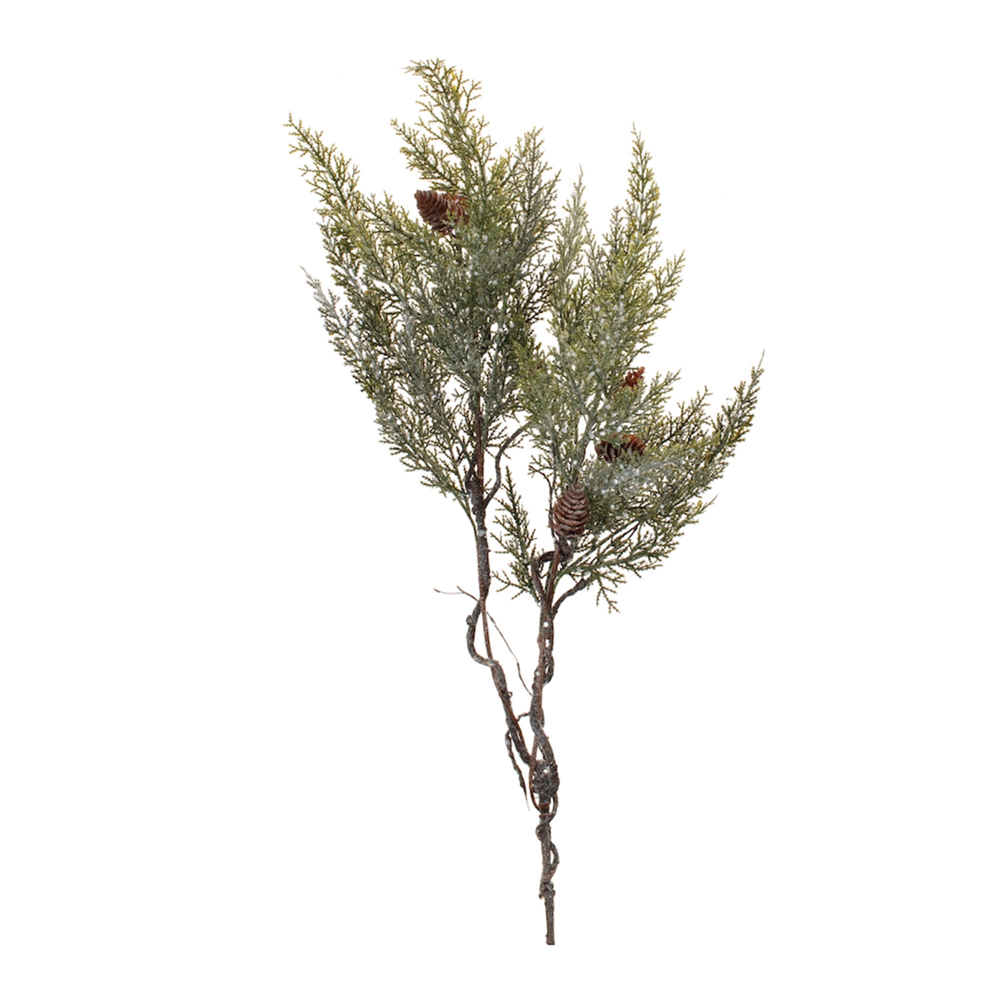 Cedar Spray 18”H