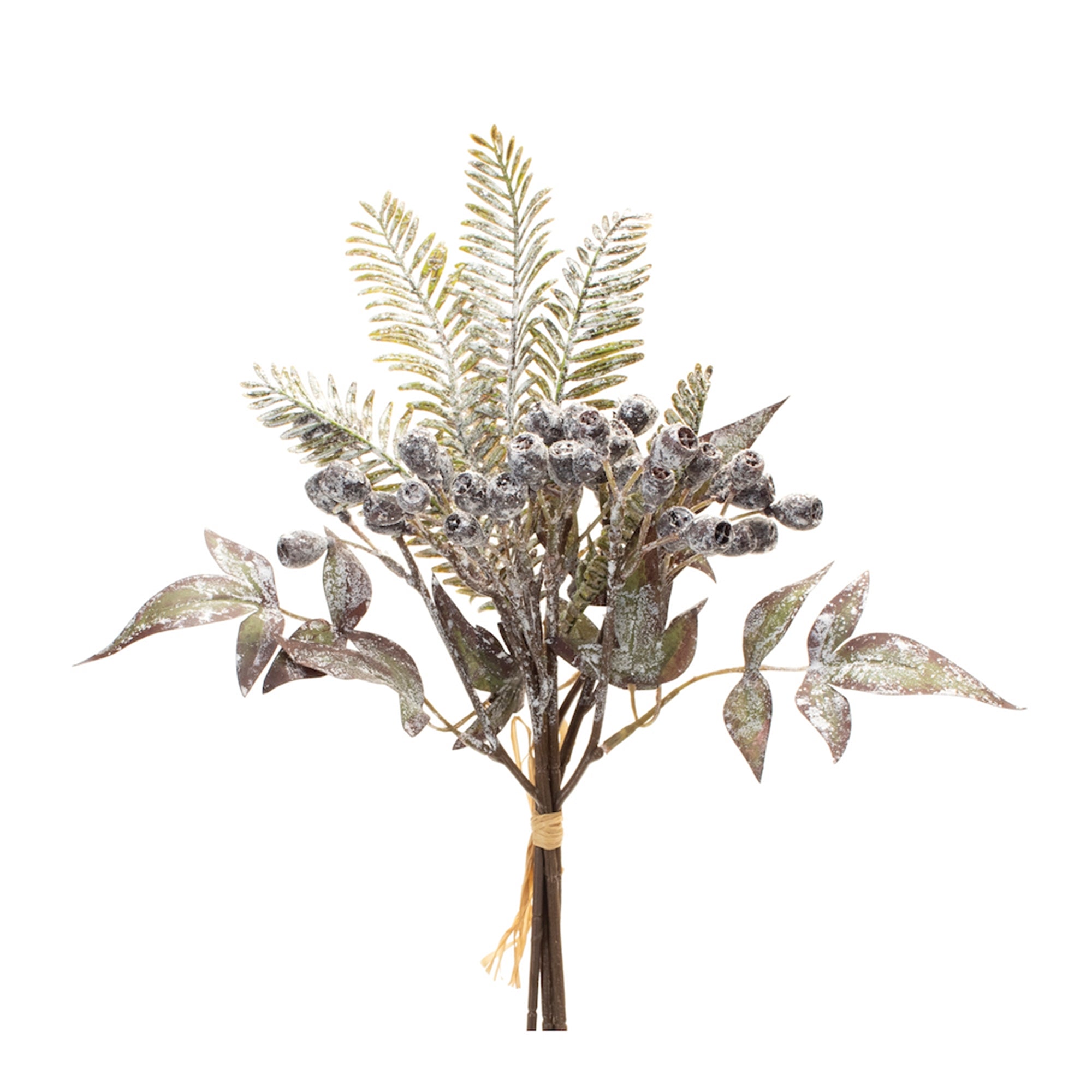 Frosted Winter Fern and Berry Bundle (Set of 6)