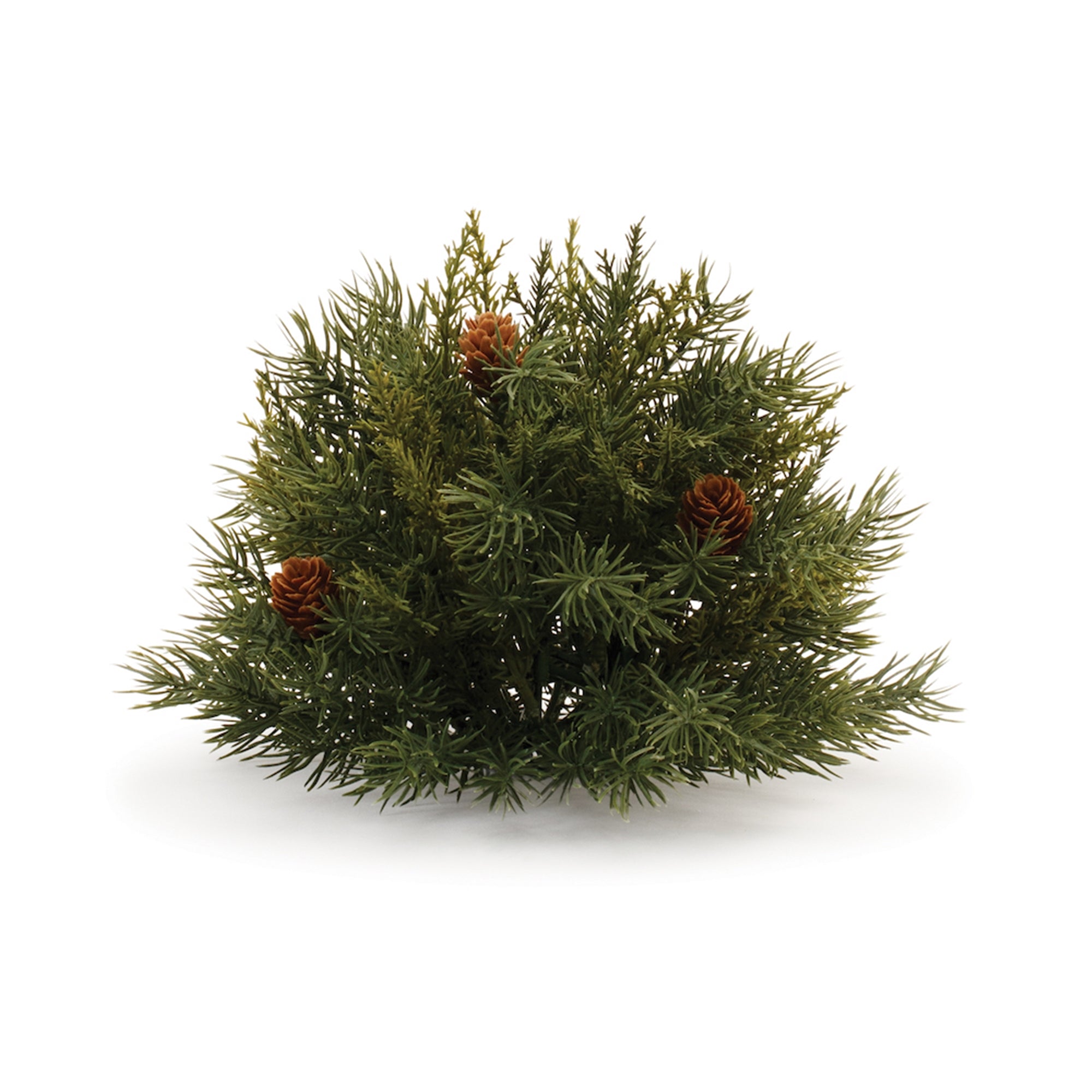 Pine Half Orb 6.5”D