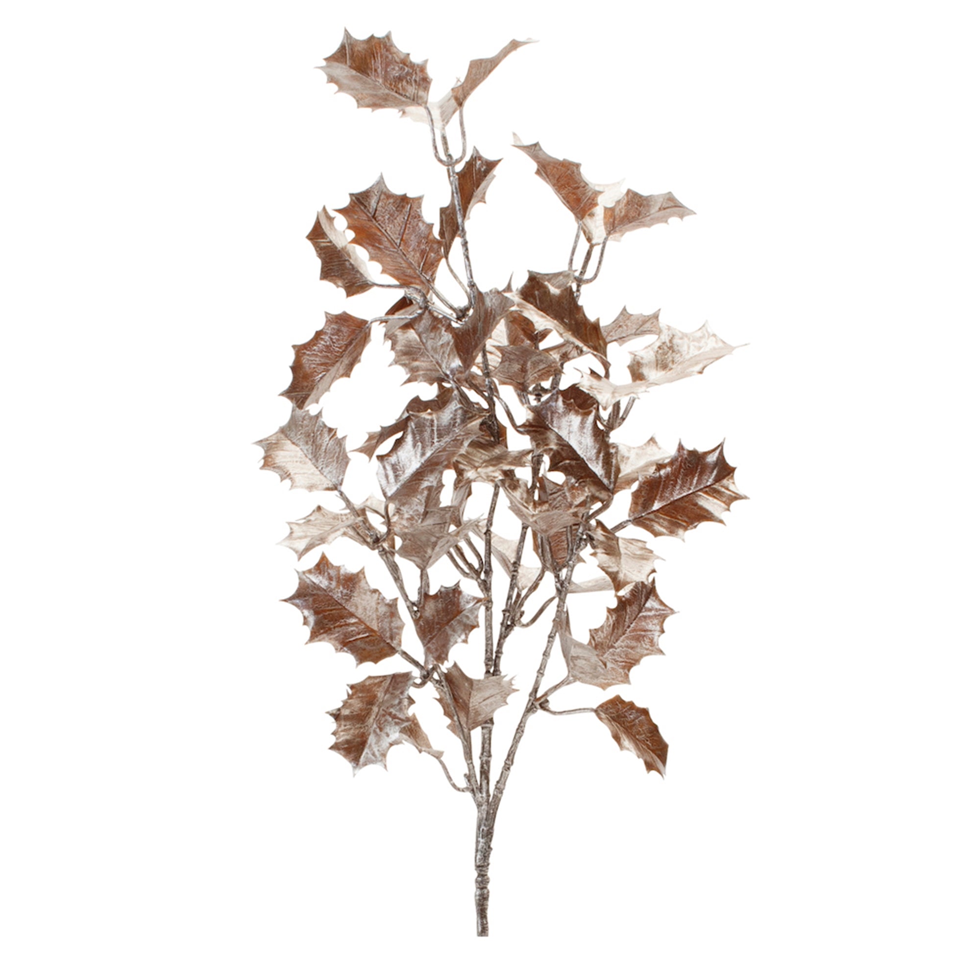 Holly Leaf Spray 24”H