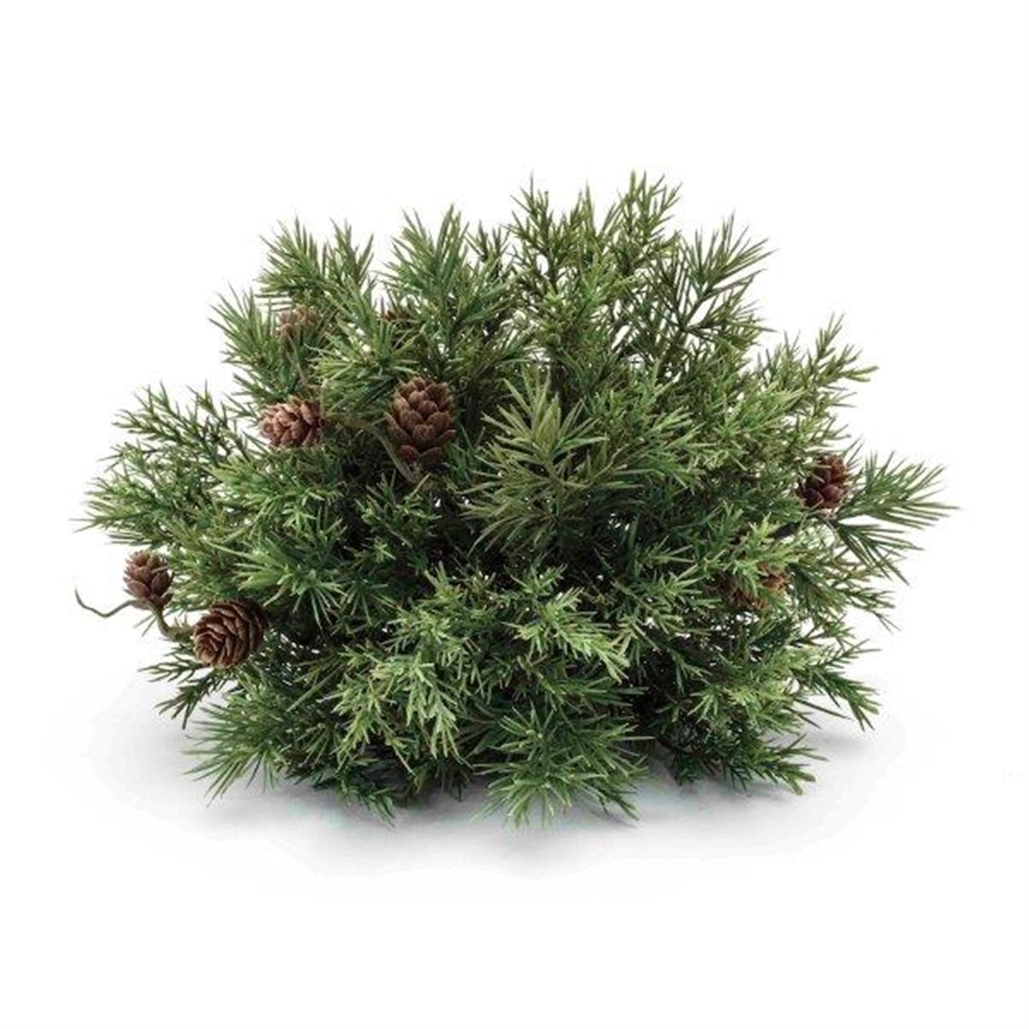Mixed Pine Half Orb 9"D x 7"H