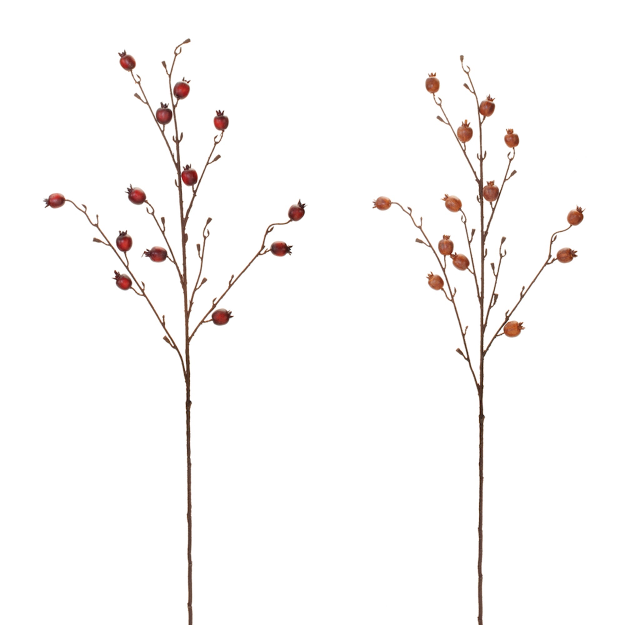 Pomegranate Spray (2 Asst) 40”H Foam
