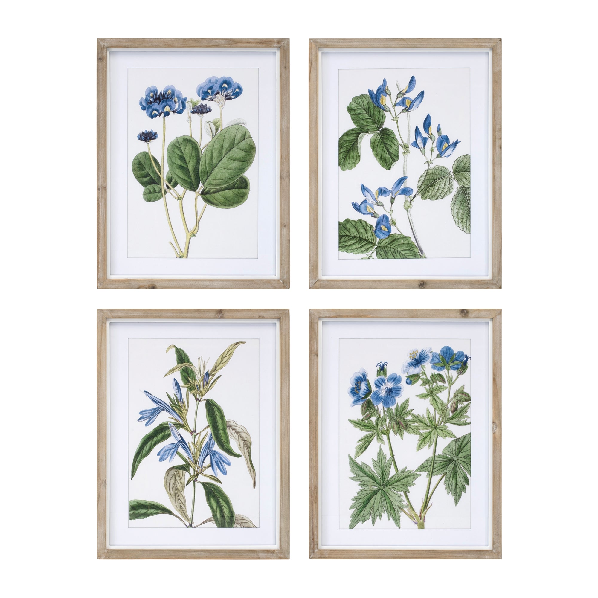 Framed Floral Print (4 Asst) 13.75"L x 17.5"H Wood/Wood/Glass
