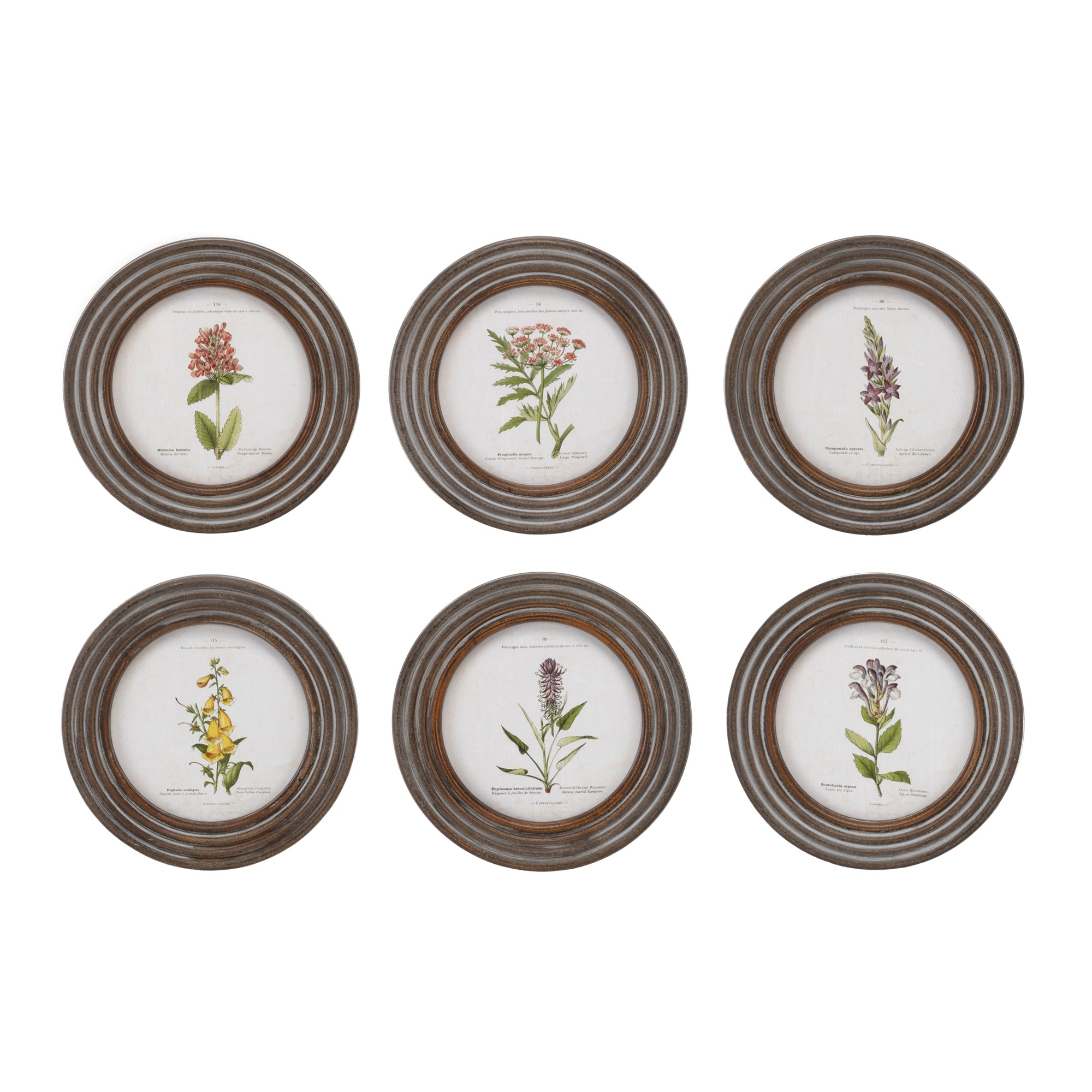 Framed Floral Print (6 Asst) 9.5”D Wood/Wood/Glass