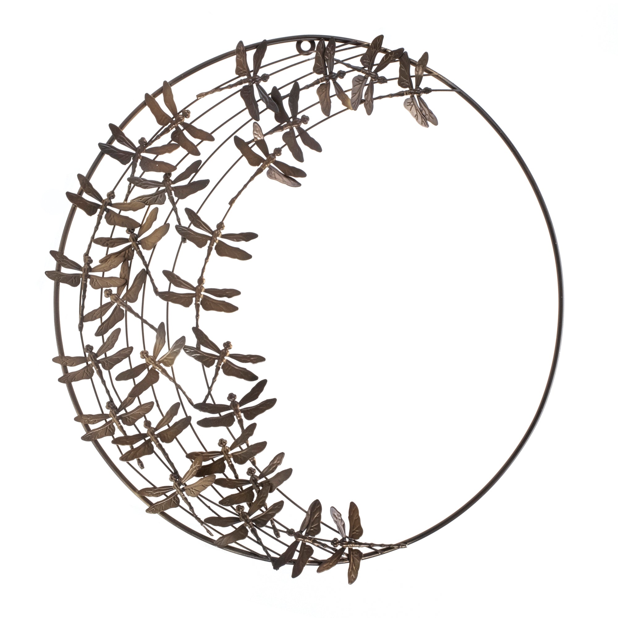 Dragonfly Wall Art 18”D Metal