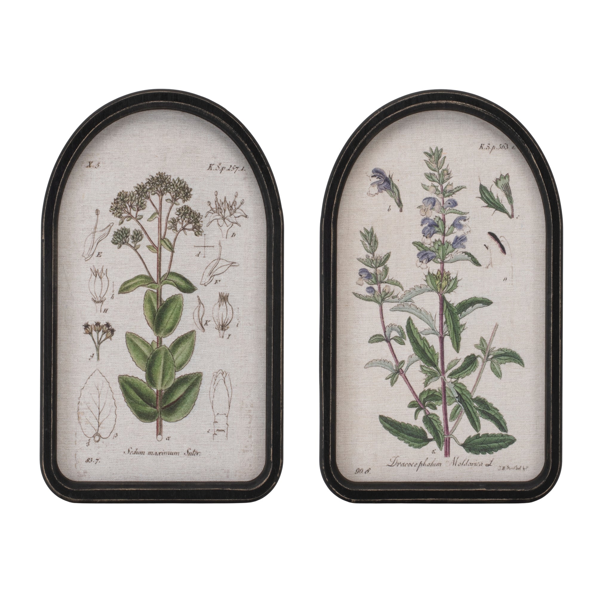 Framed Floral Print (2 Asst) 10.5"L x 15.5"H Wood/Linen