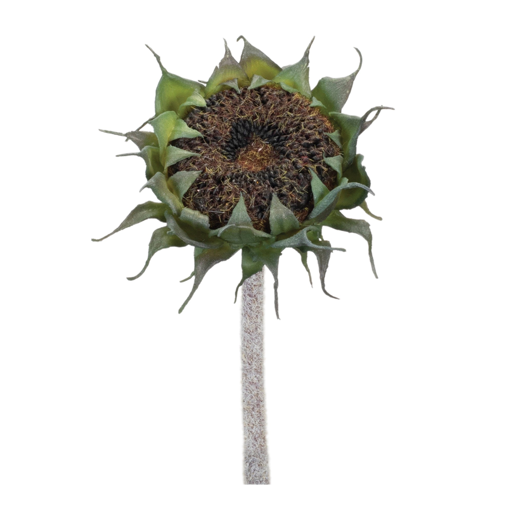 Sunflower Stem 23.5”H Polyester/