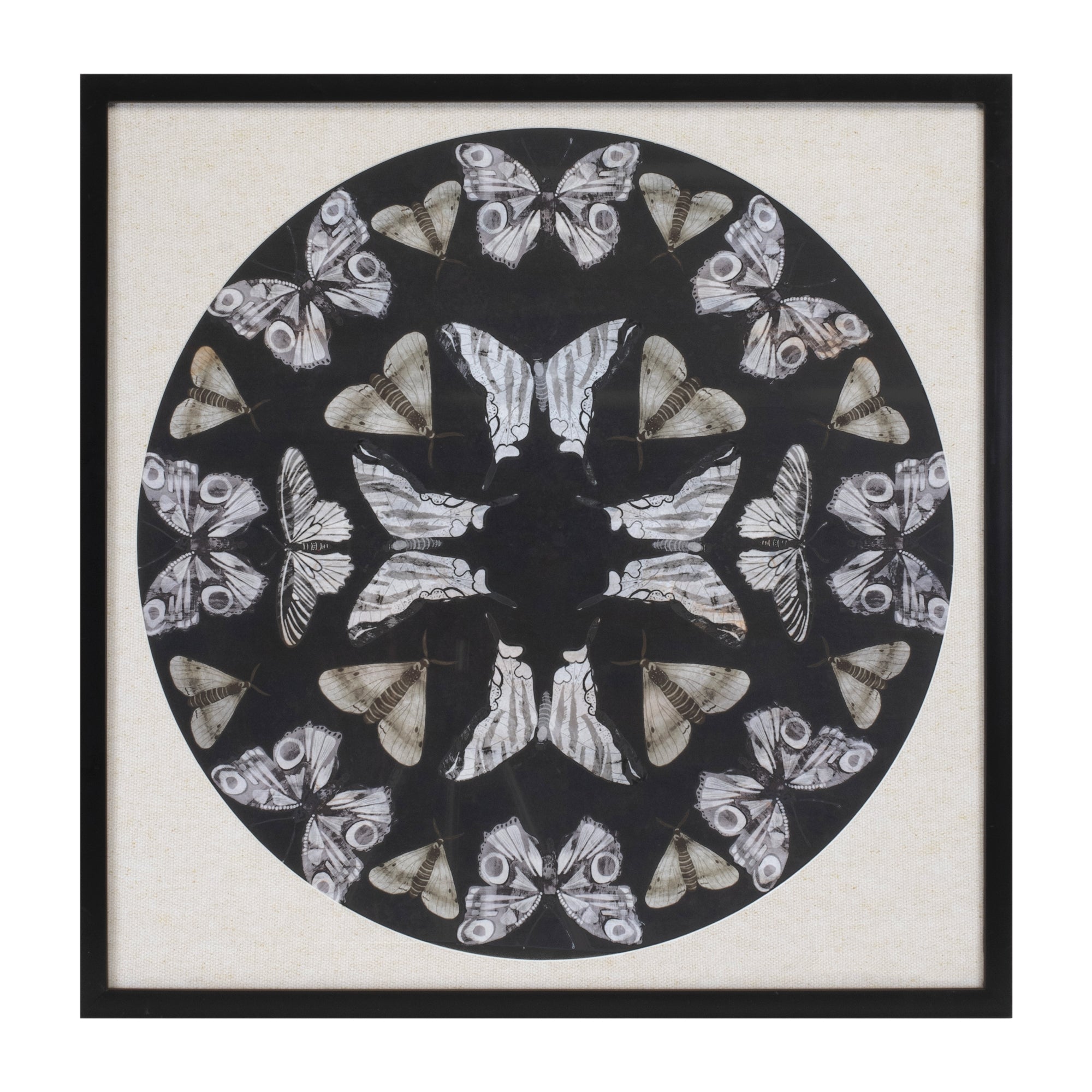 Butterfly Print 25”SQ /Paper/Glass