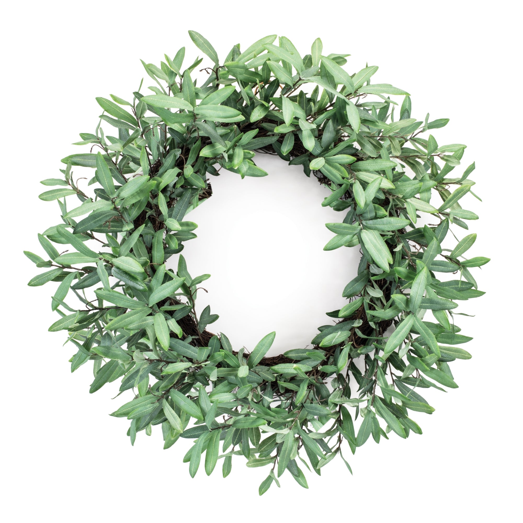 Olive Leaf Wreath