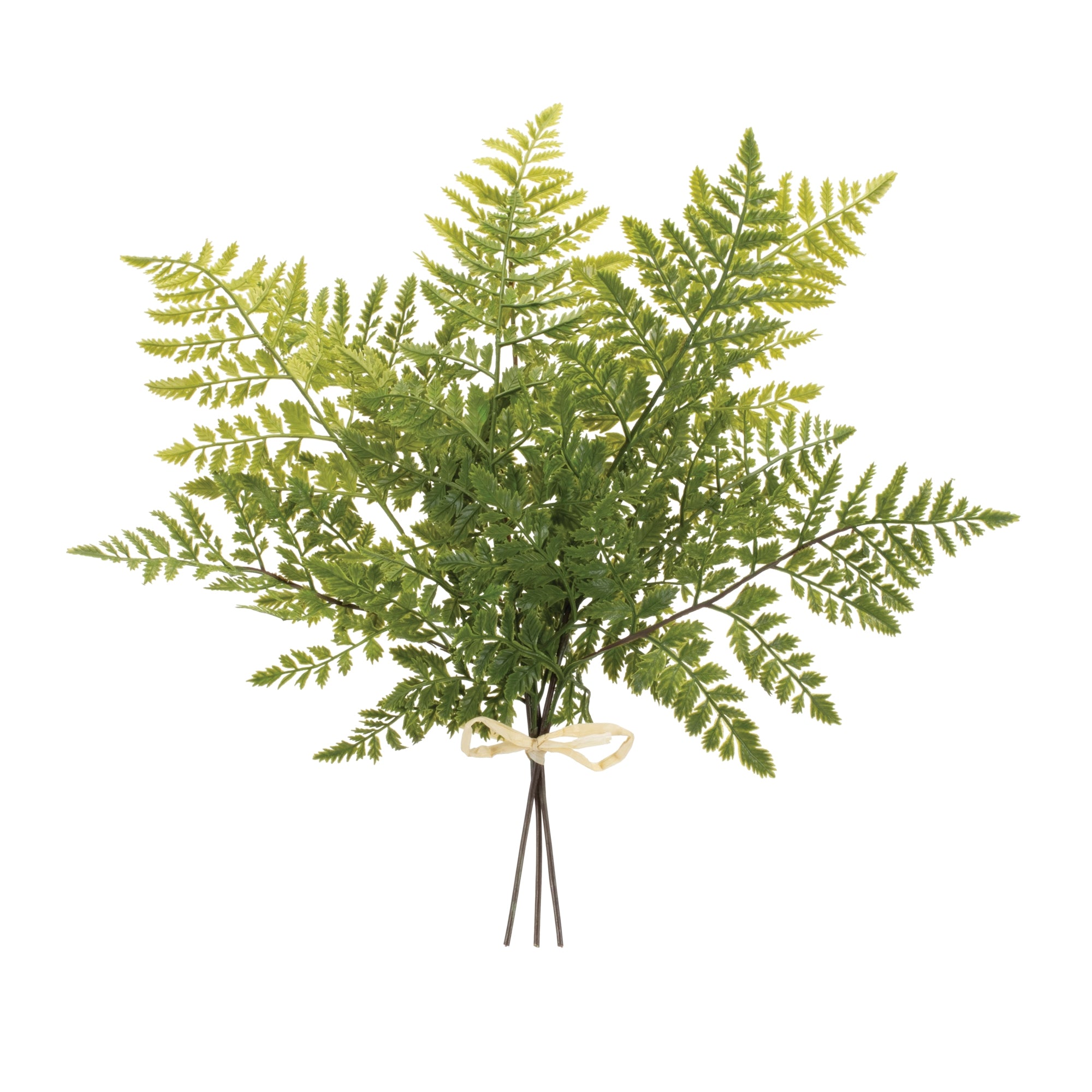 Mixed Fern Bundle 19”H