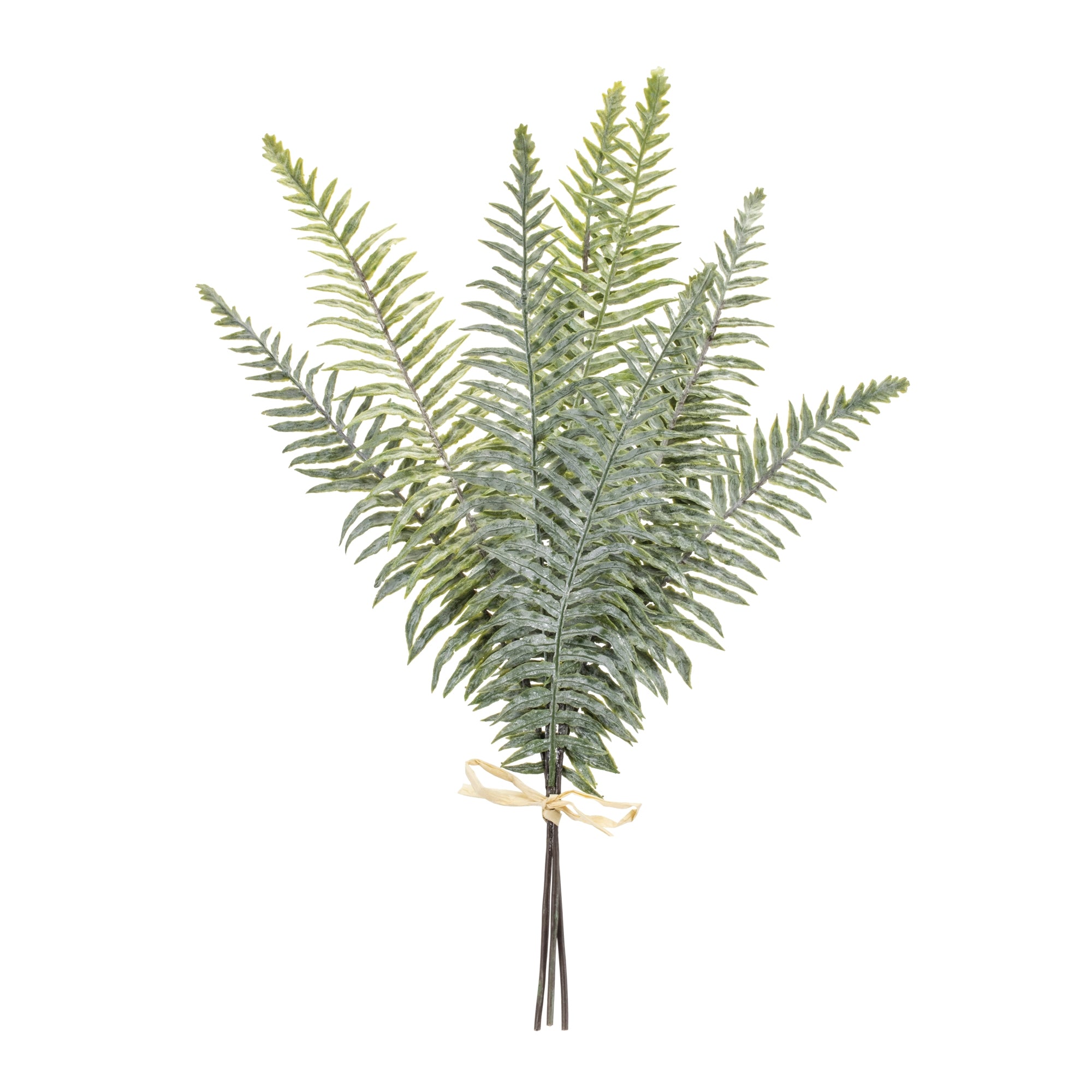 Fern Bundle 20”H