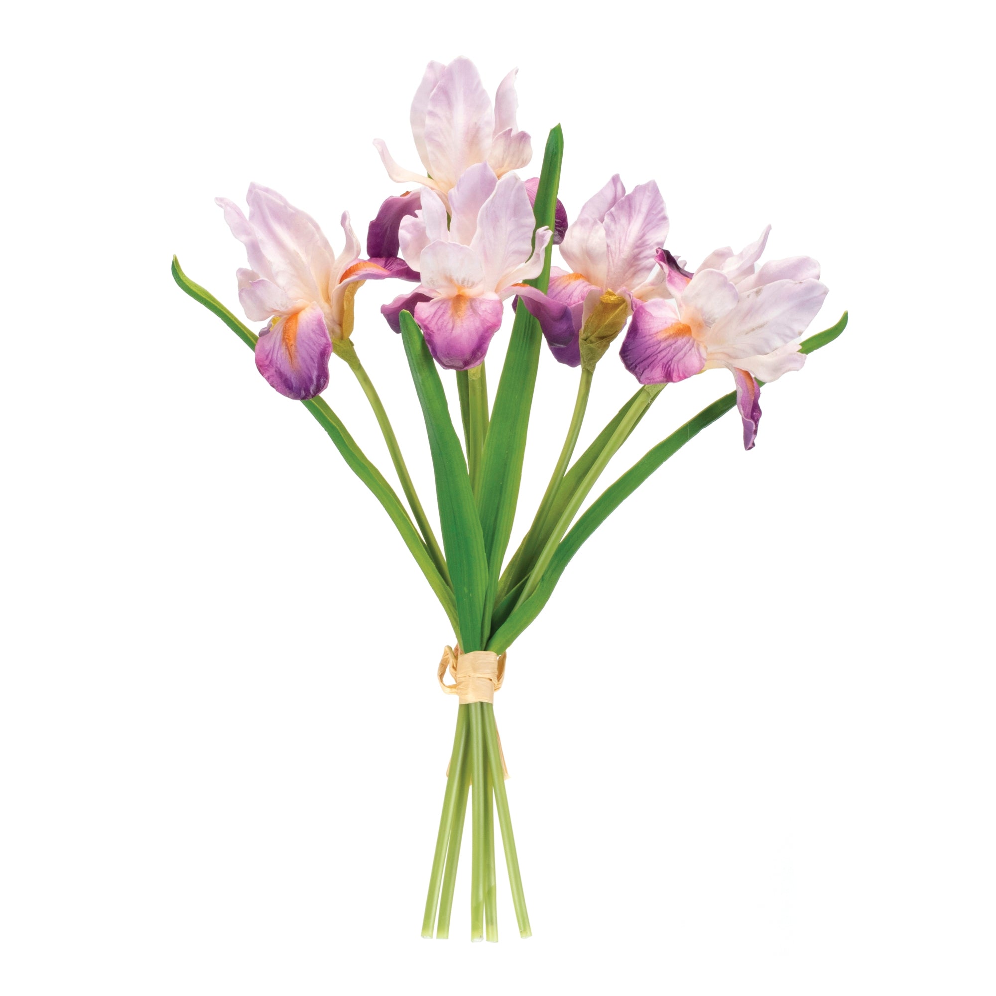 Iris Bundle 15.5”H Foam/