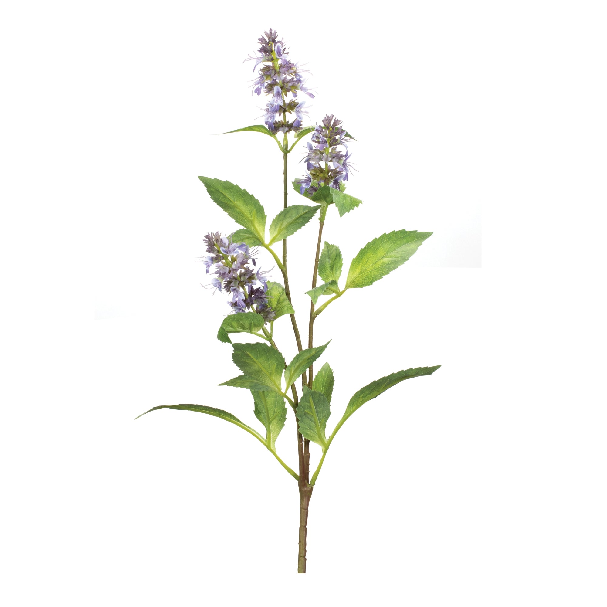 Buddleia Stem 29”H Polyester