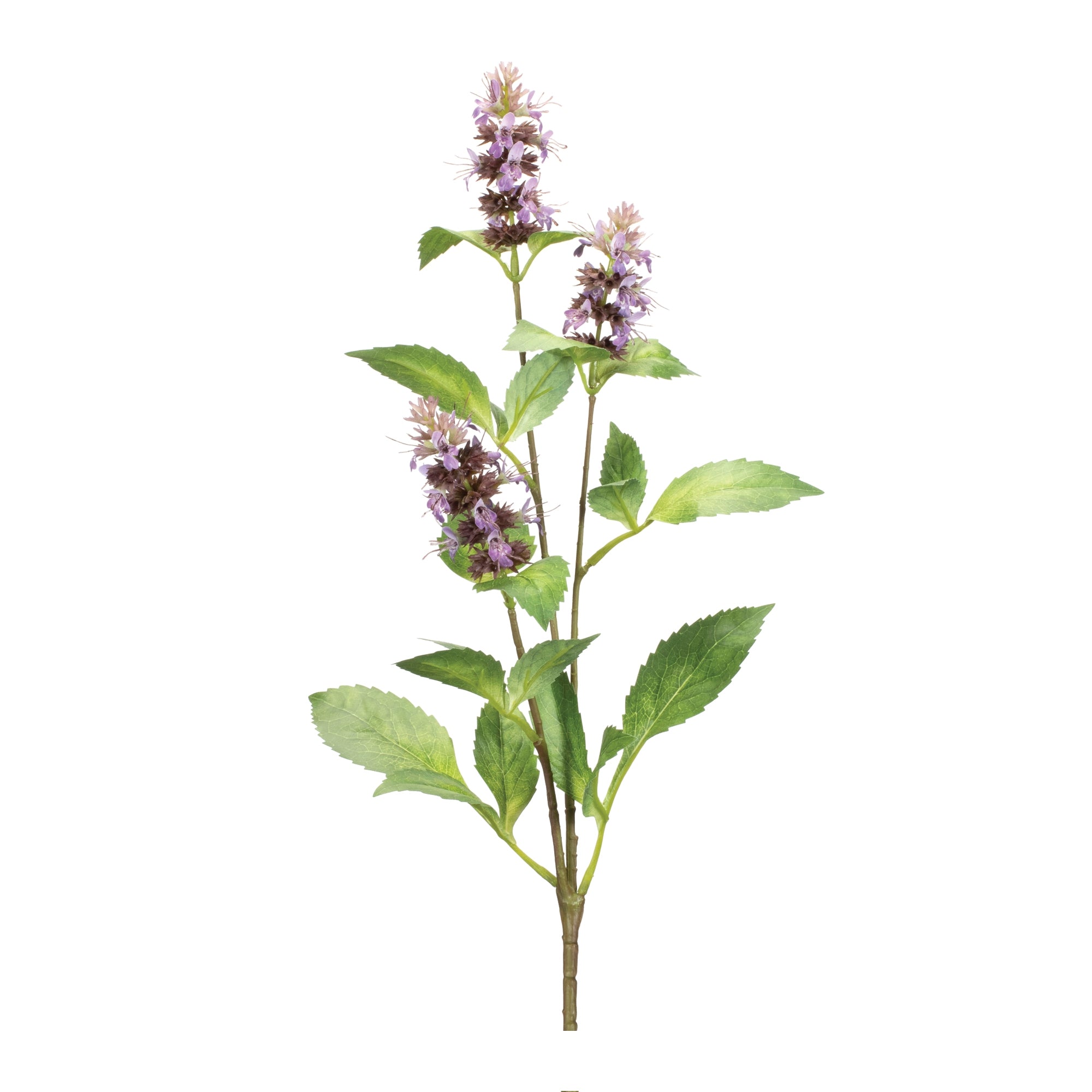Buddleia Stem 29”H Polyester